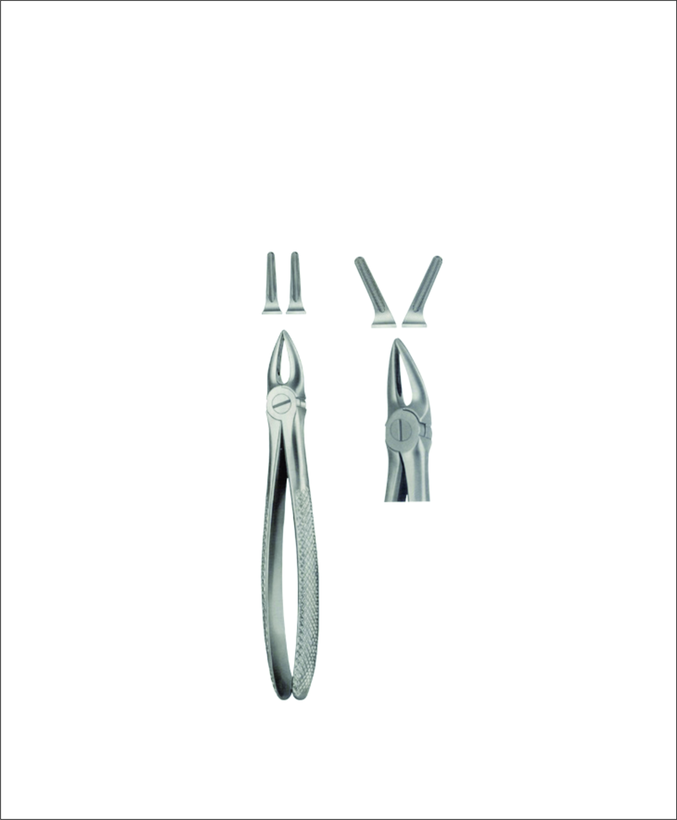 Upper Root Extracting Forceps – English Pattern
