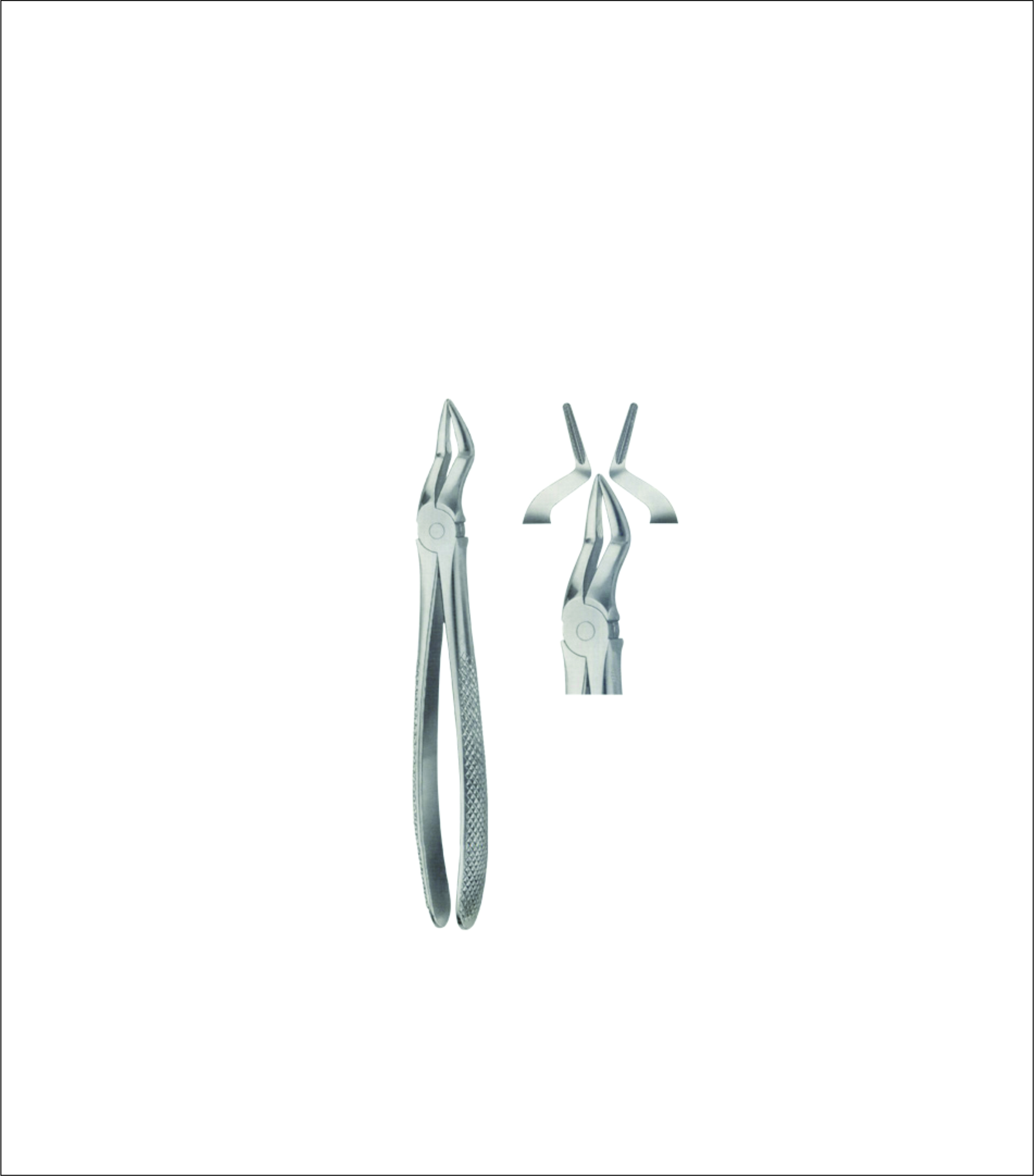 Upper Root Extracting Forceps – English Pattern