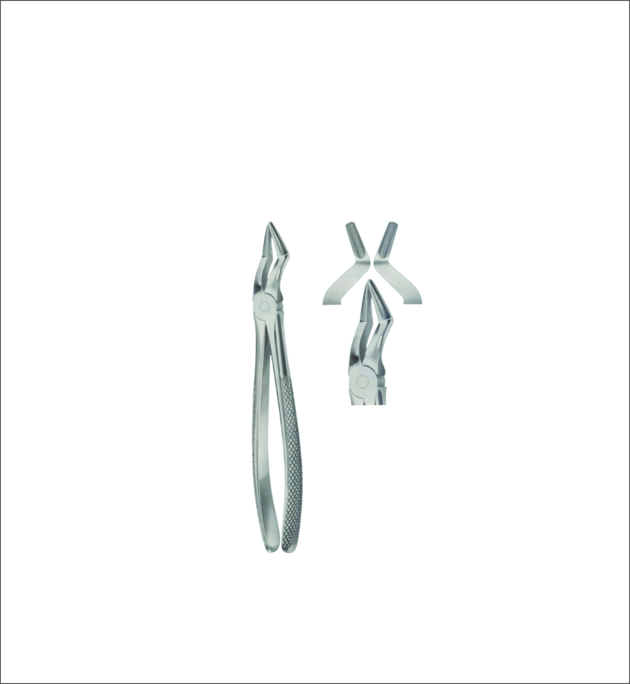Upper Root Separating Extracting Forceps – English Pattern