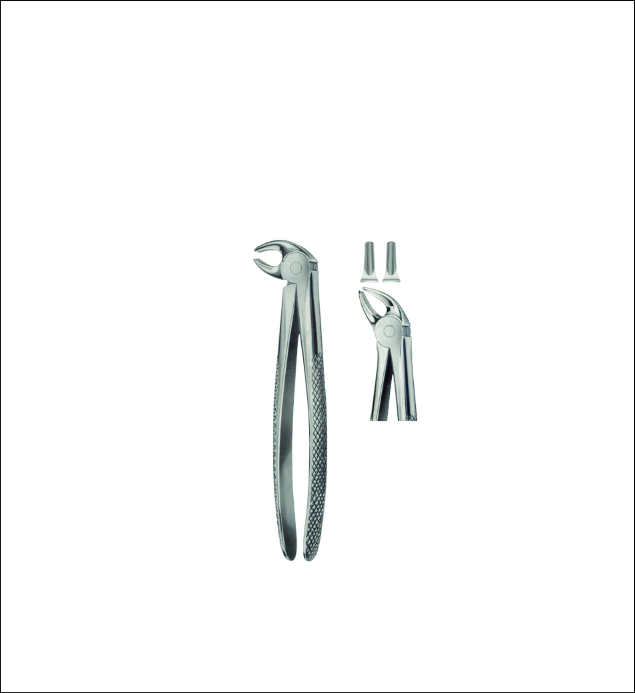 Lower Tooth Extracting Forceps – English Pattern
