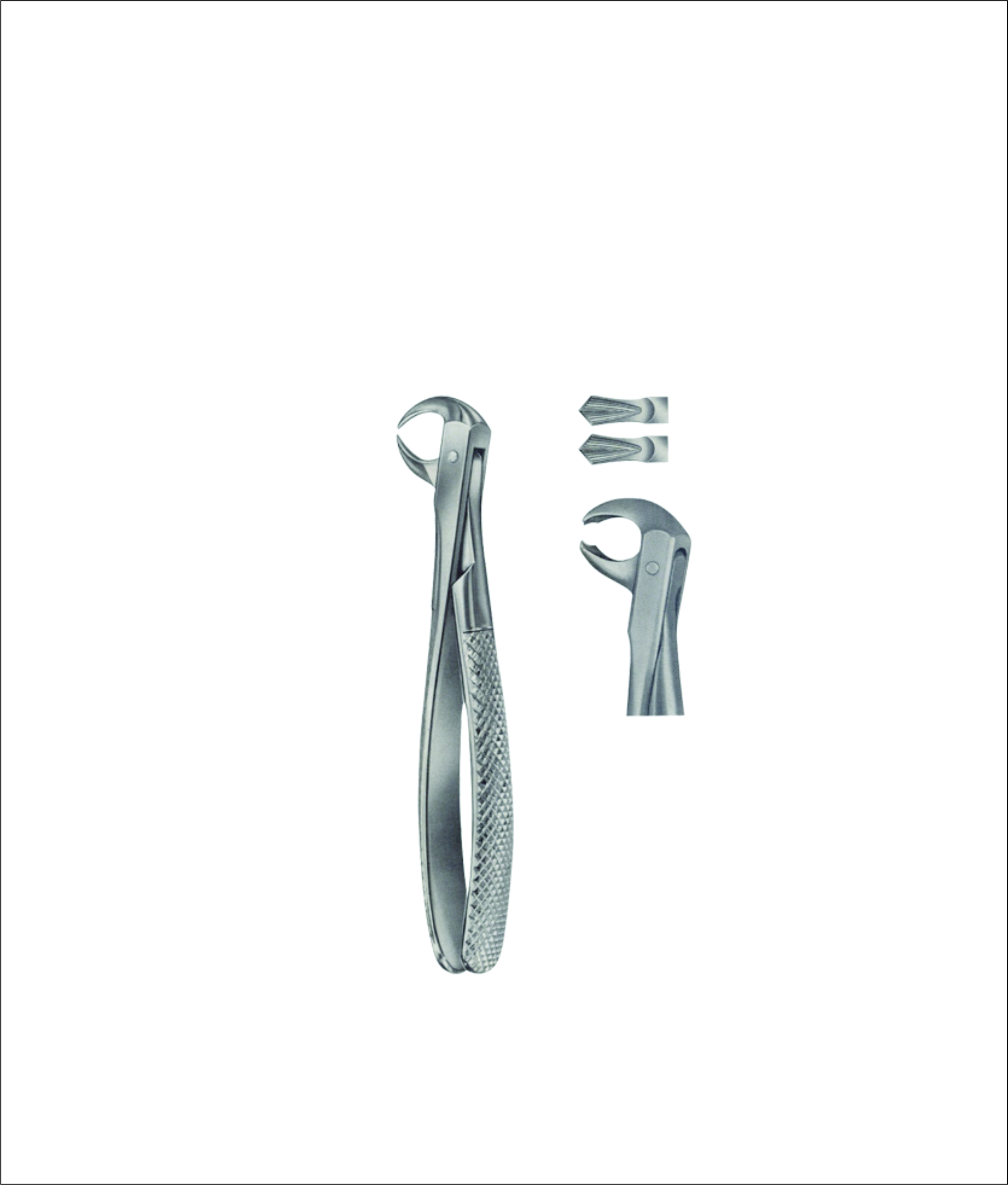 Lower Molar Extracting Forceps – English Pattern