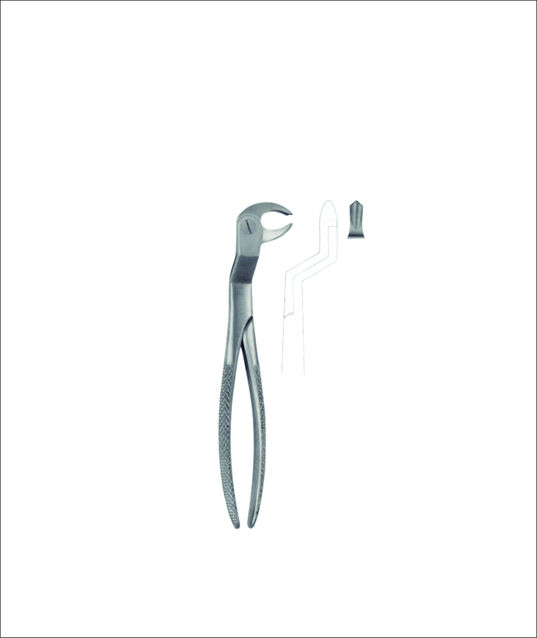 Lower Molar & Wisdom Tooth Extracting Forceps – English Pattern