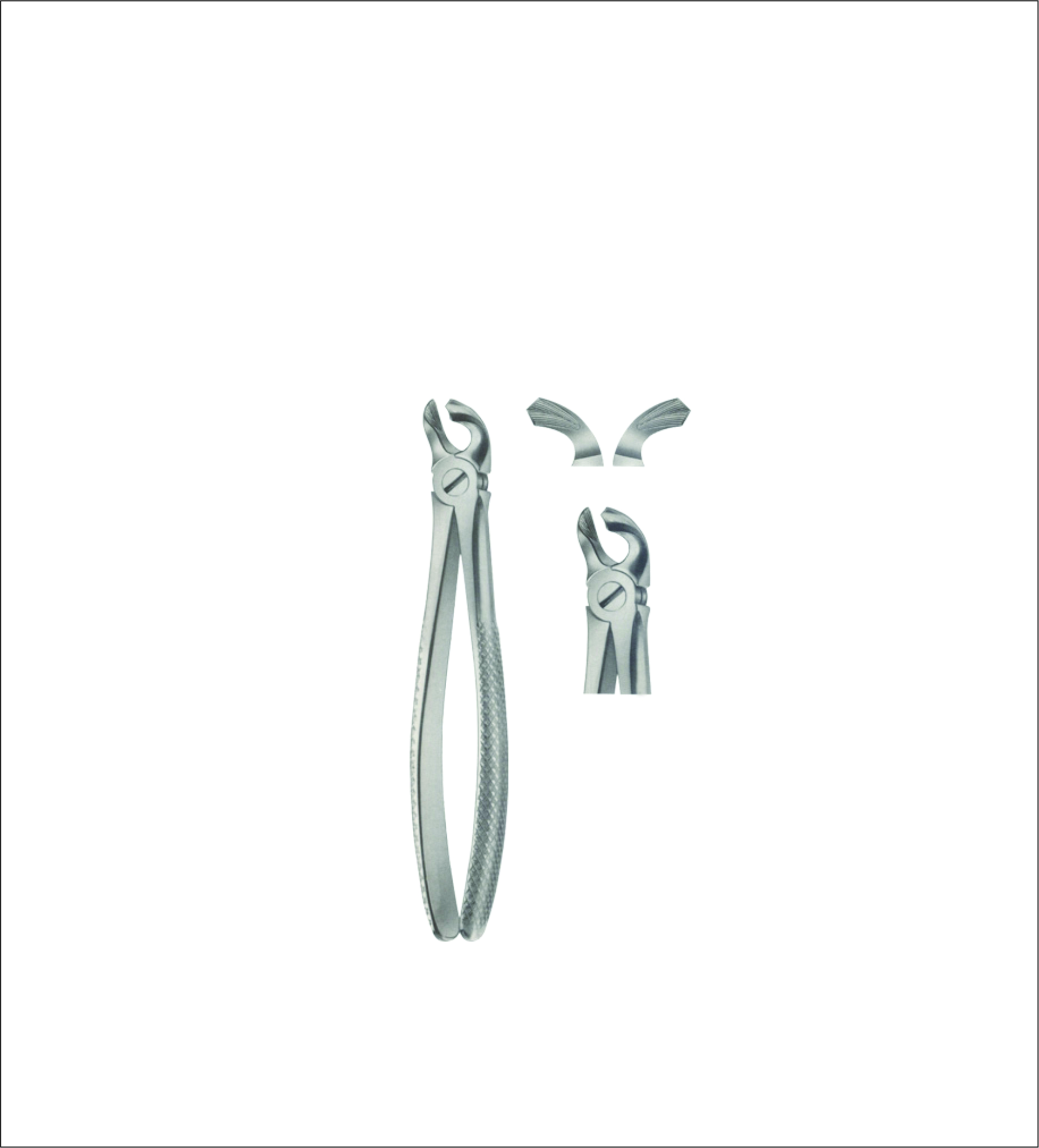 Lower Molar & Wisdom Tooth Extracting Forceps – English Pattern