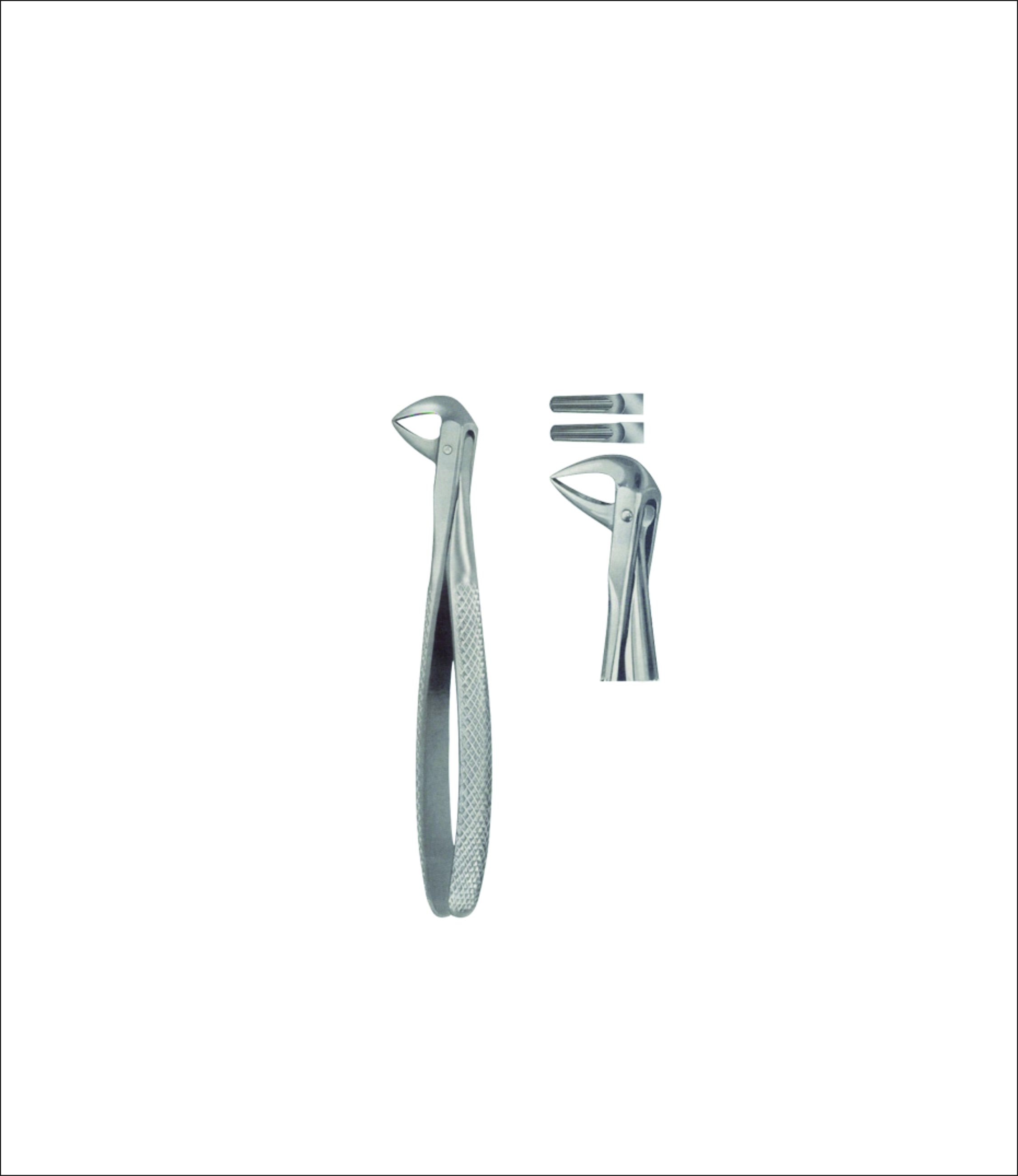Lower Root Extracting Forceps – English Pattern