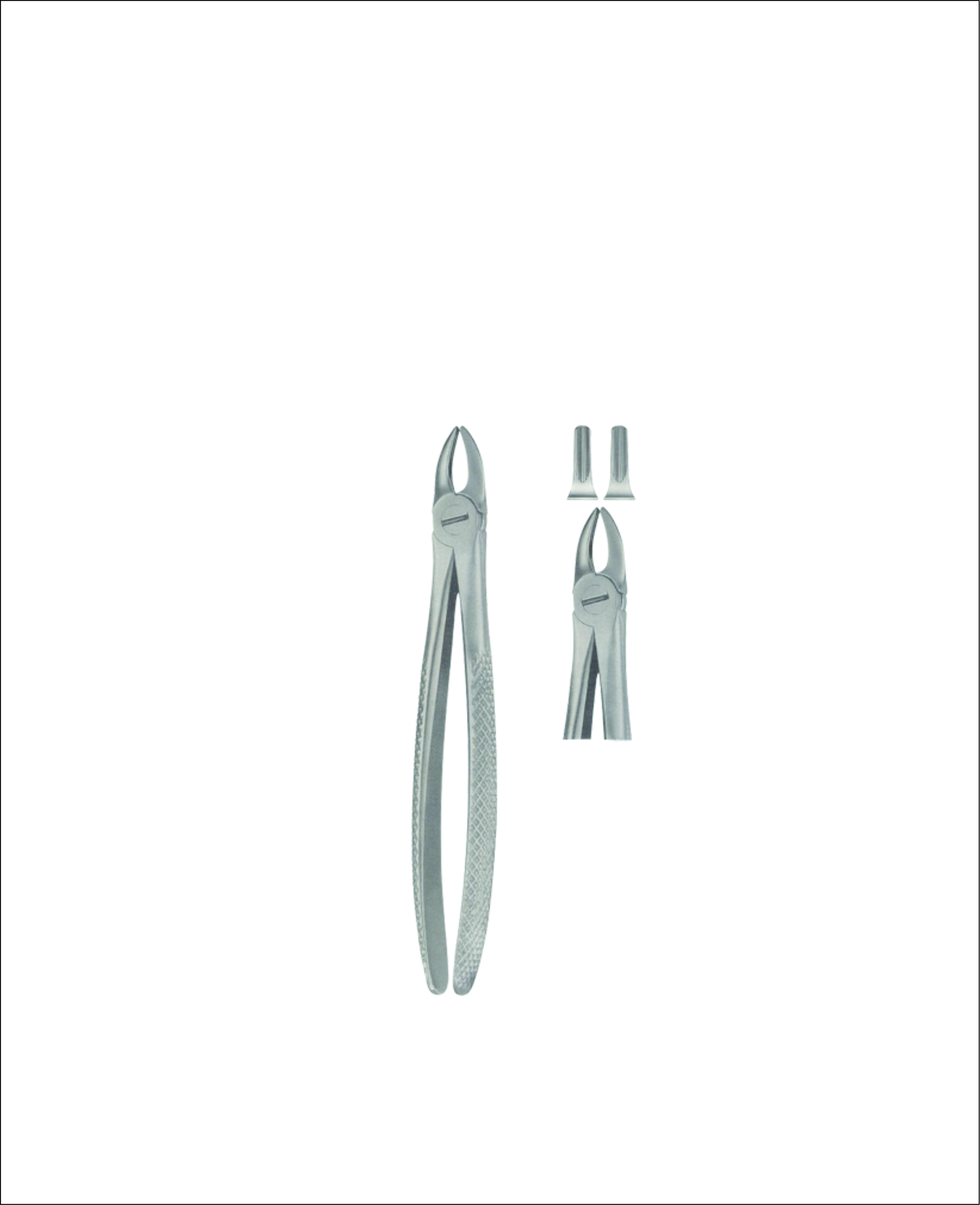 Tooth Forceps for Children