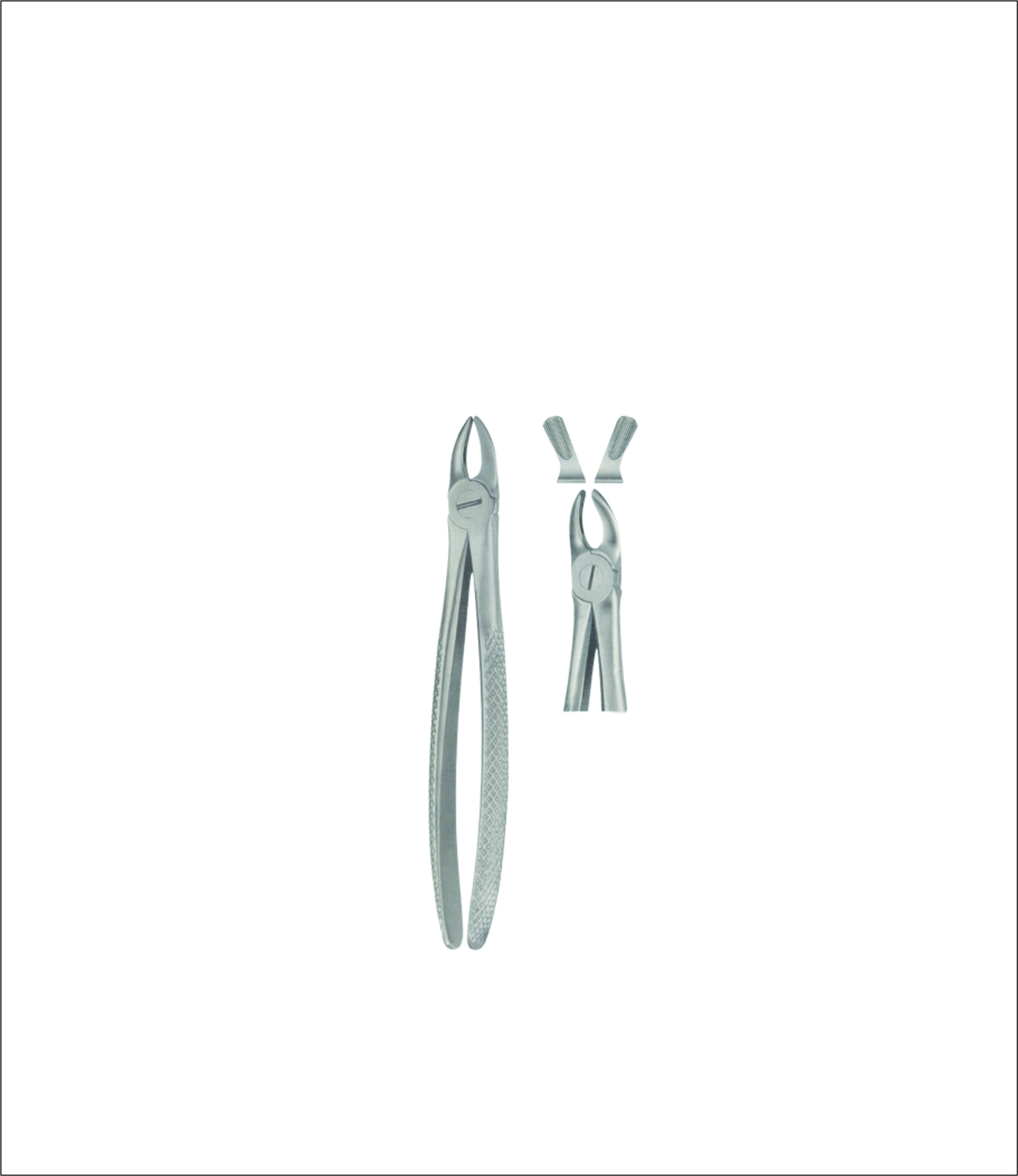 Tooth Forceps for Children