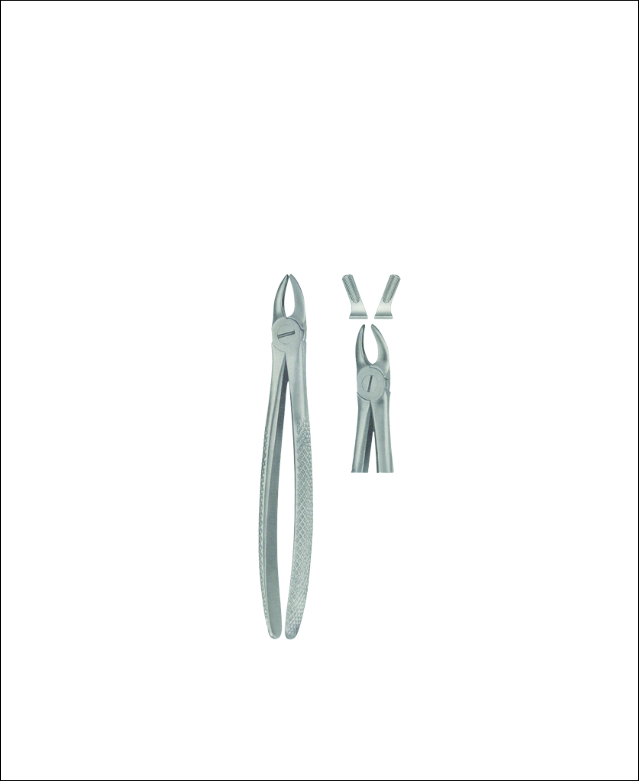 Tooth Forceps for Children