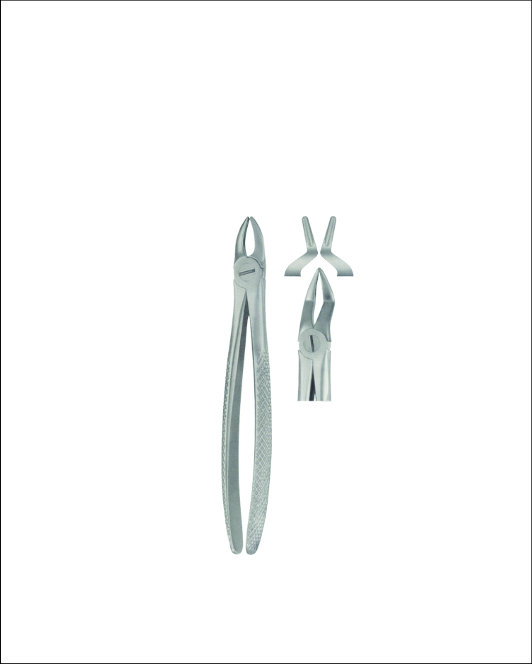 Tooth Forceps for Children