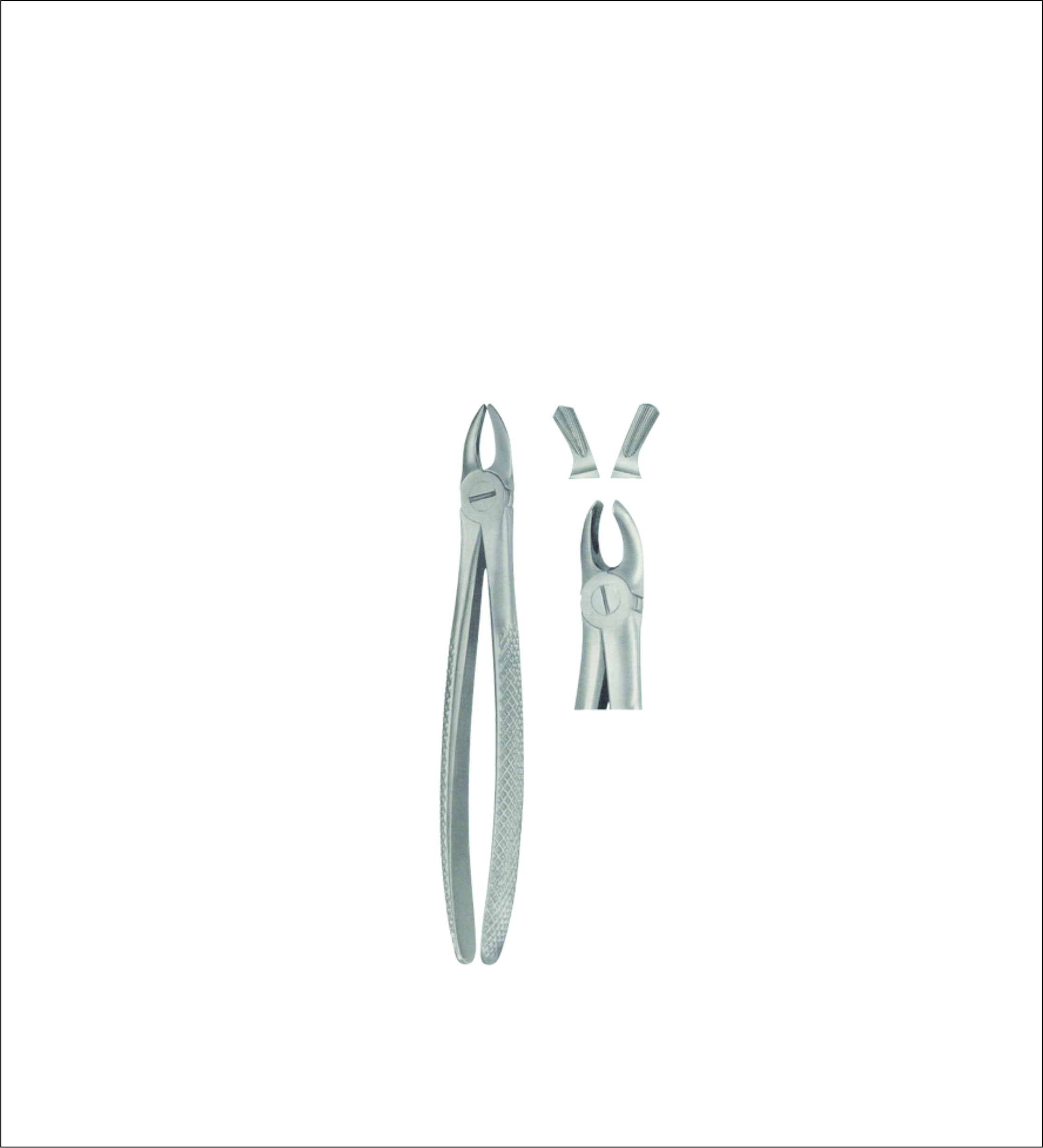 Tooth Forceps for Children