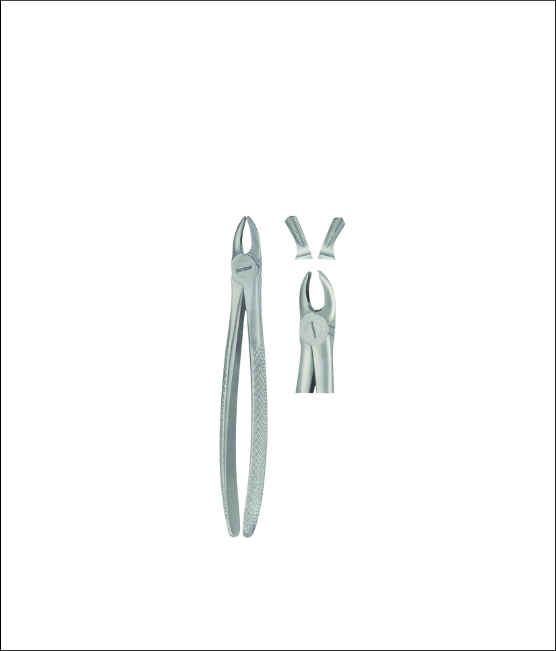 Tooth Forceps for Children