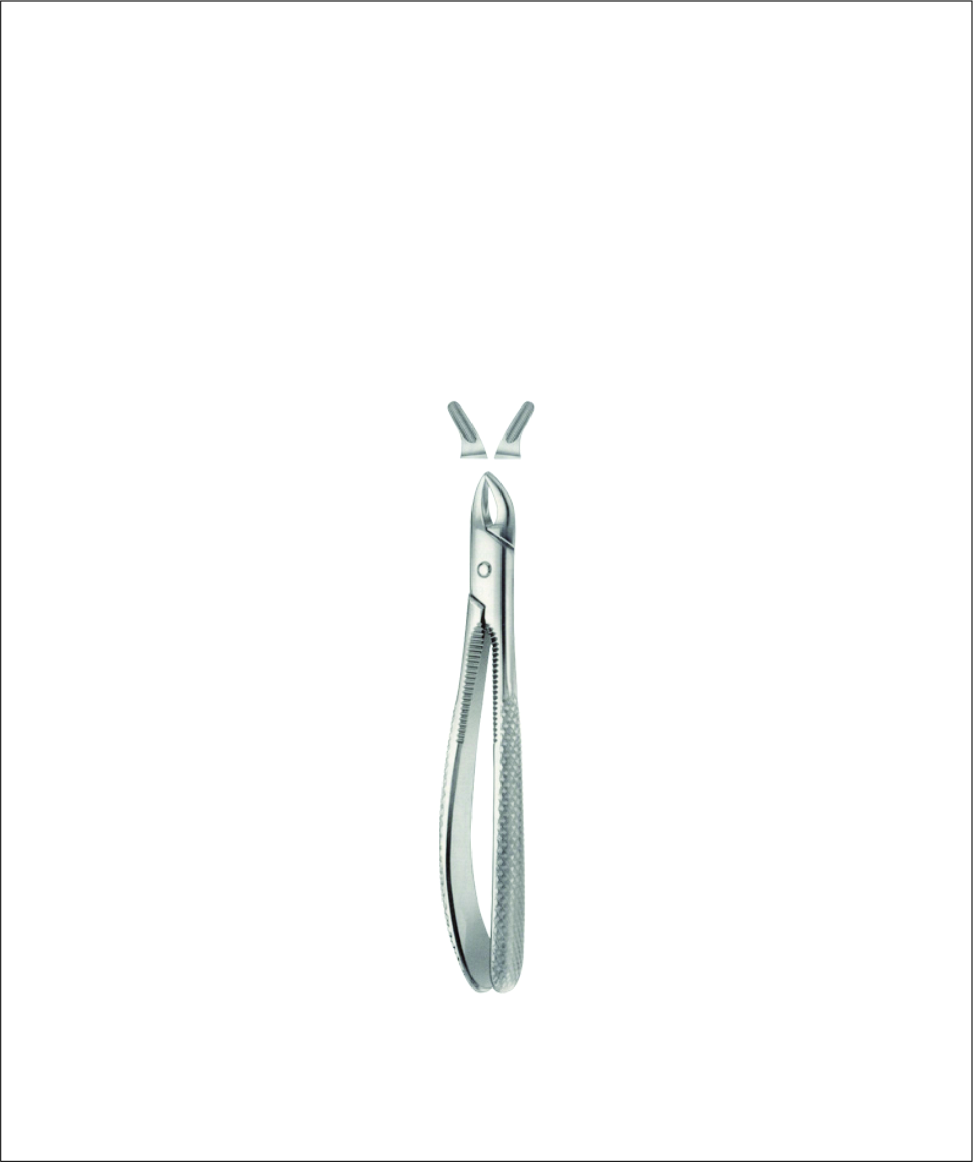 Tooth Forceps for Children
