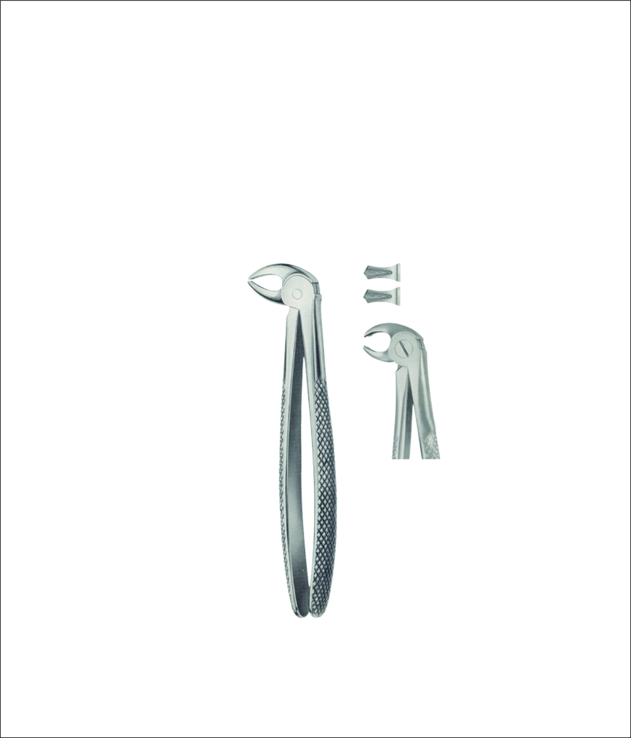 Tooth Forceps for Children