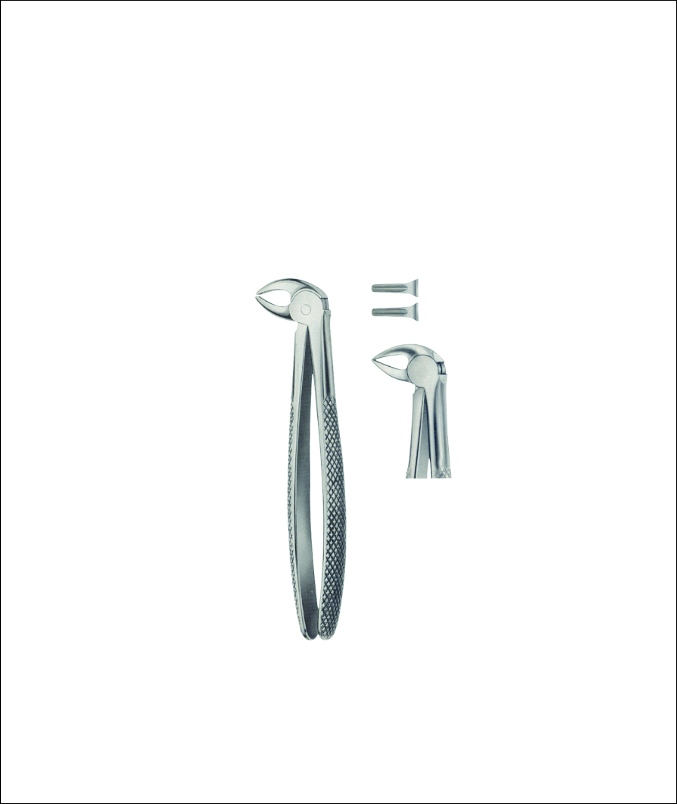 Tooth Forceps for Children