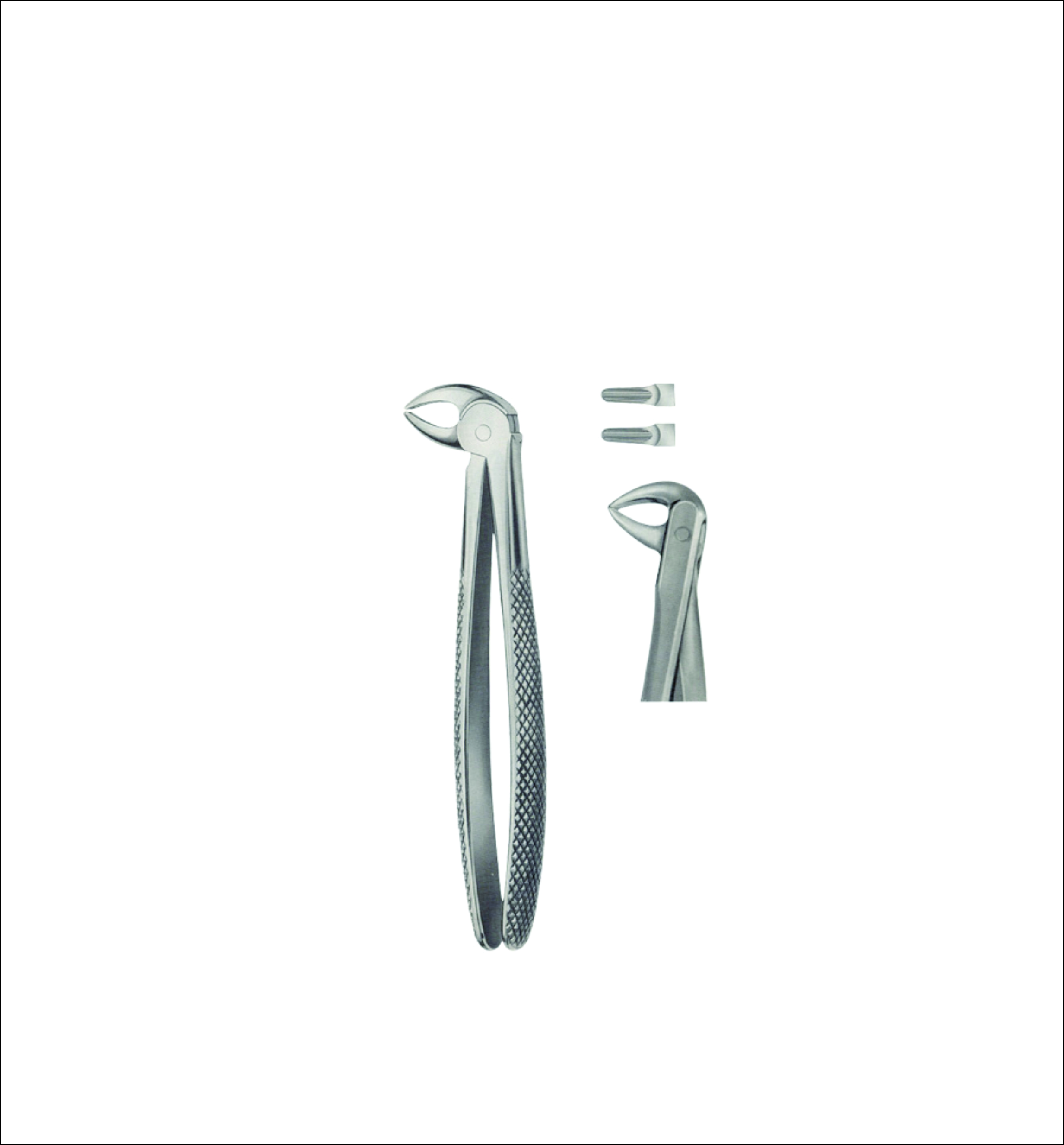Tooth Forceps for Children