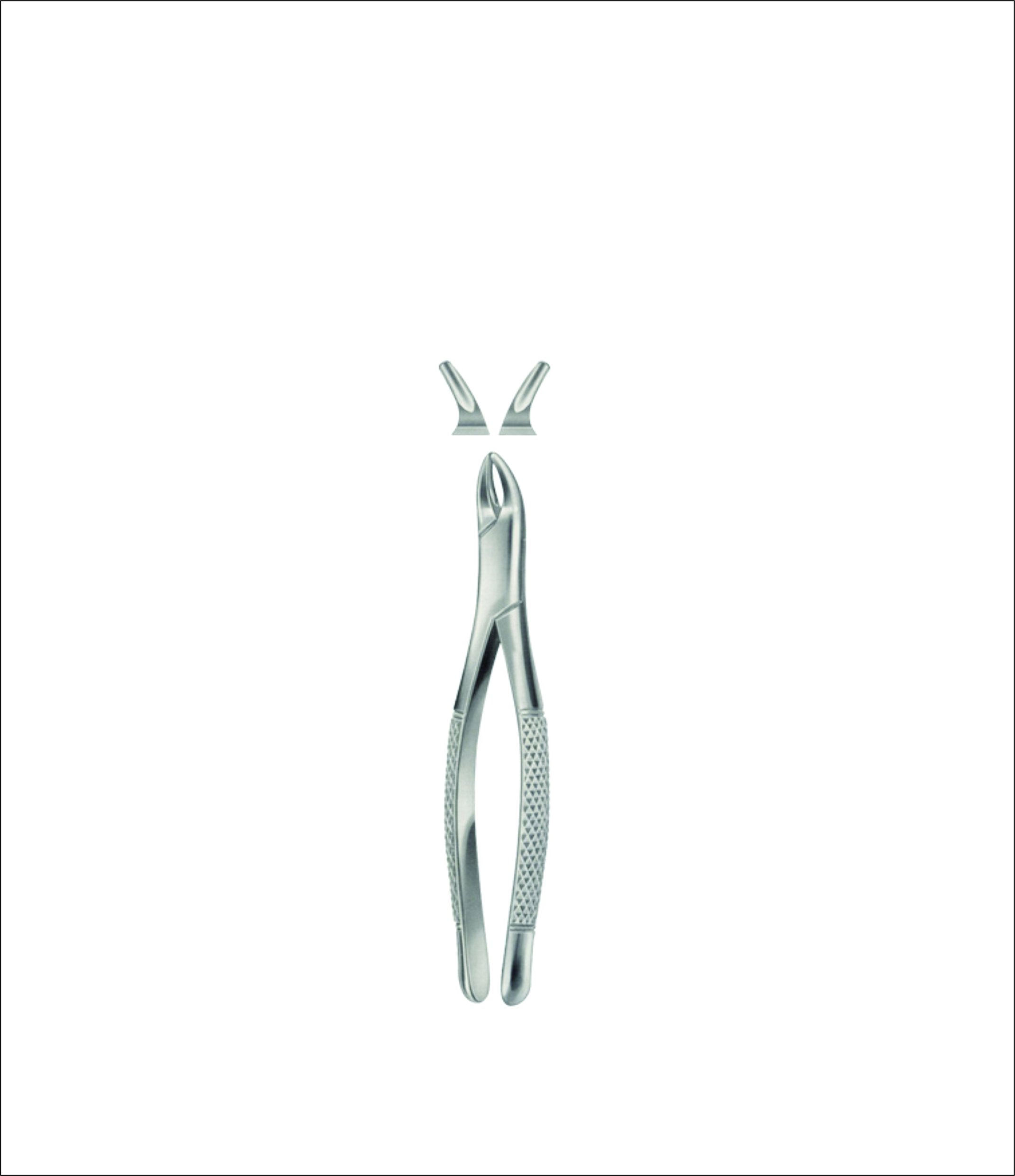 Tooth Forceps for Children