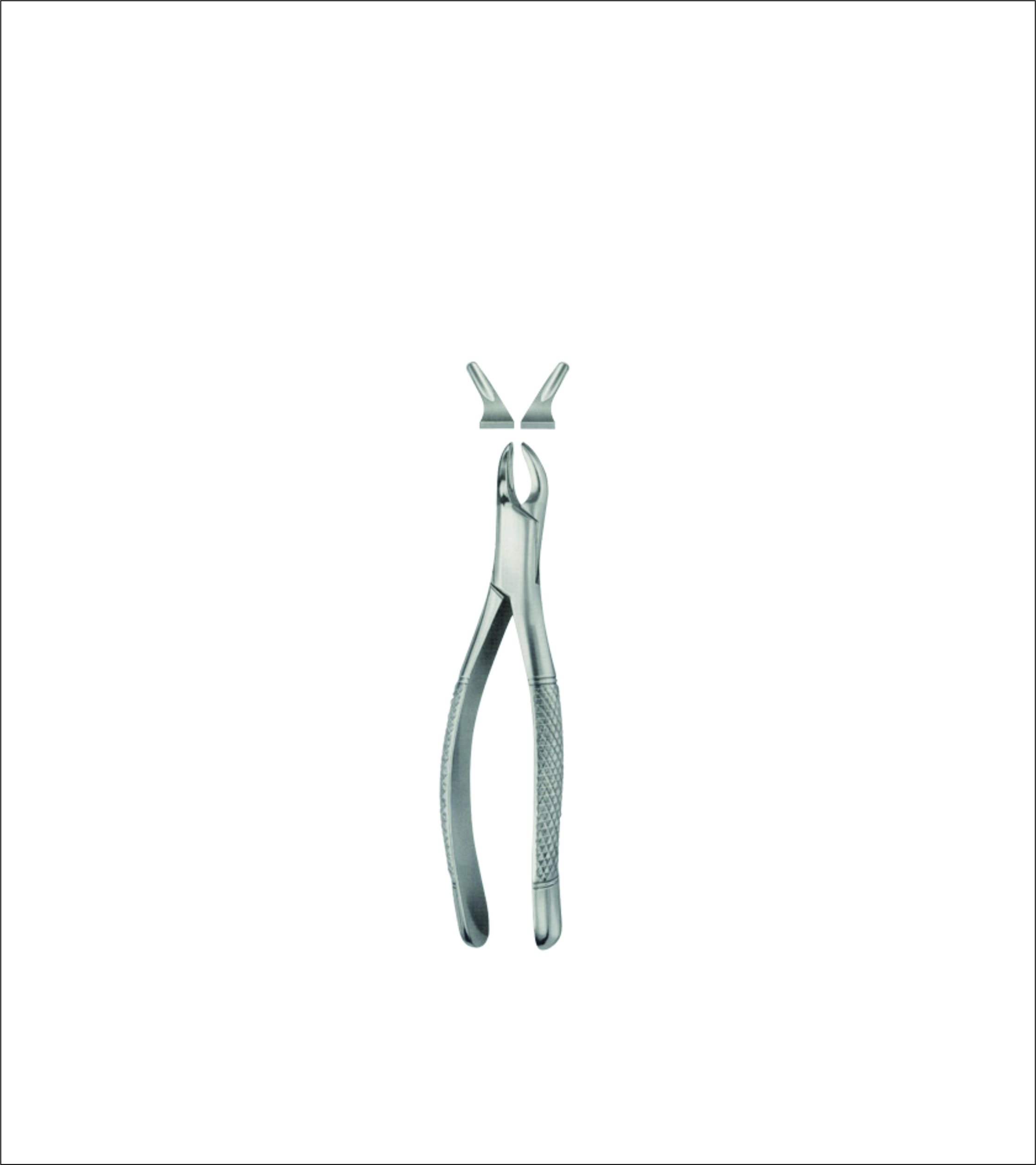 Tooth Forceps for Children
