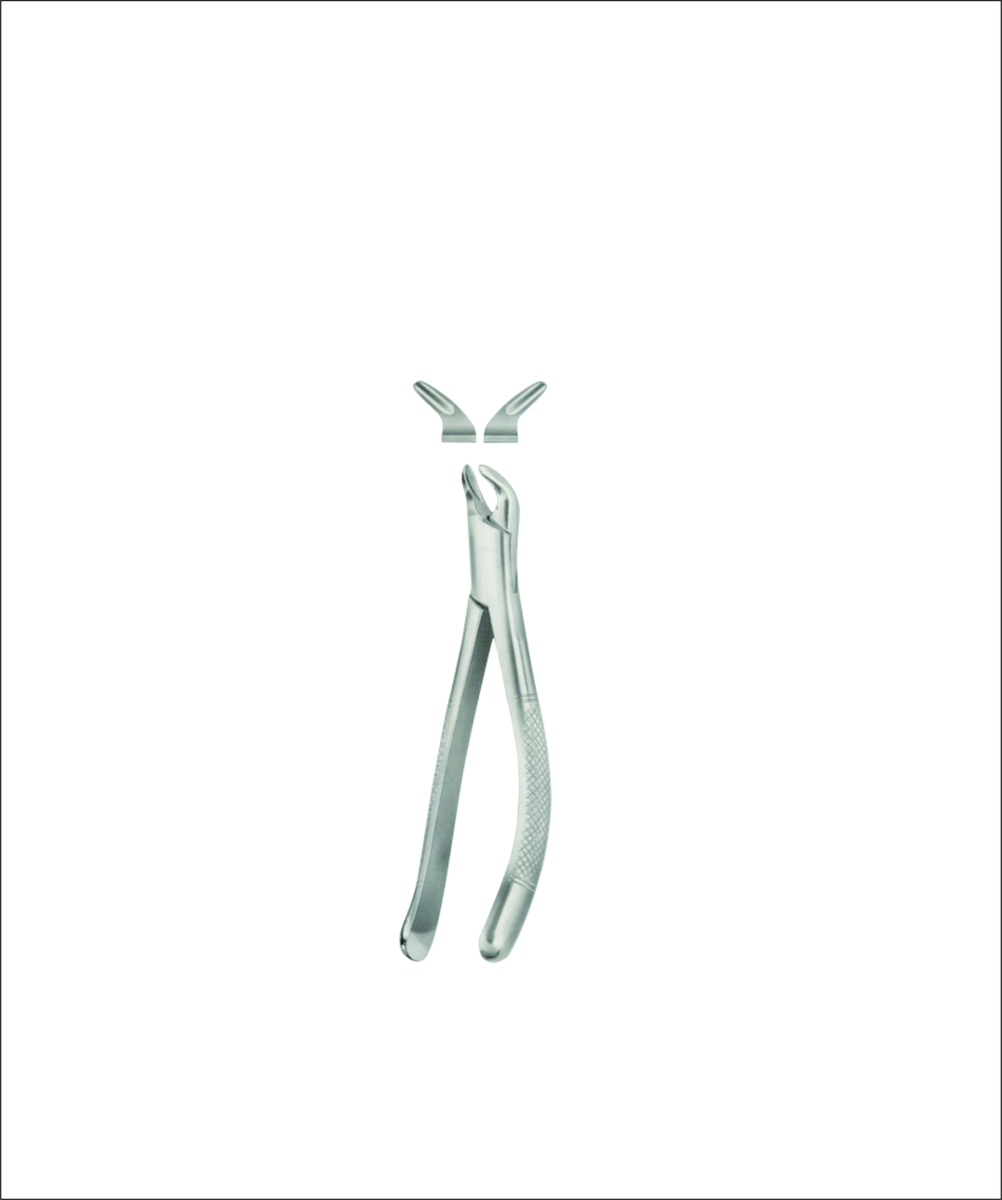 Tooth Forceps for Children