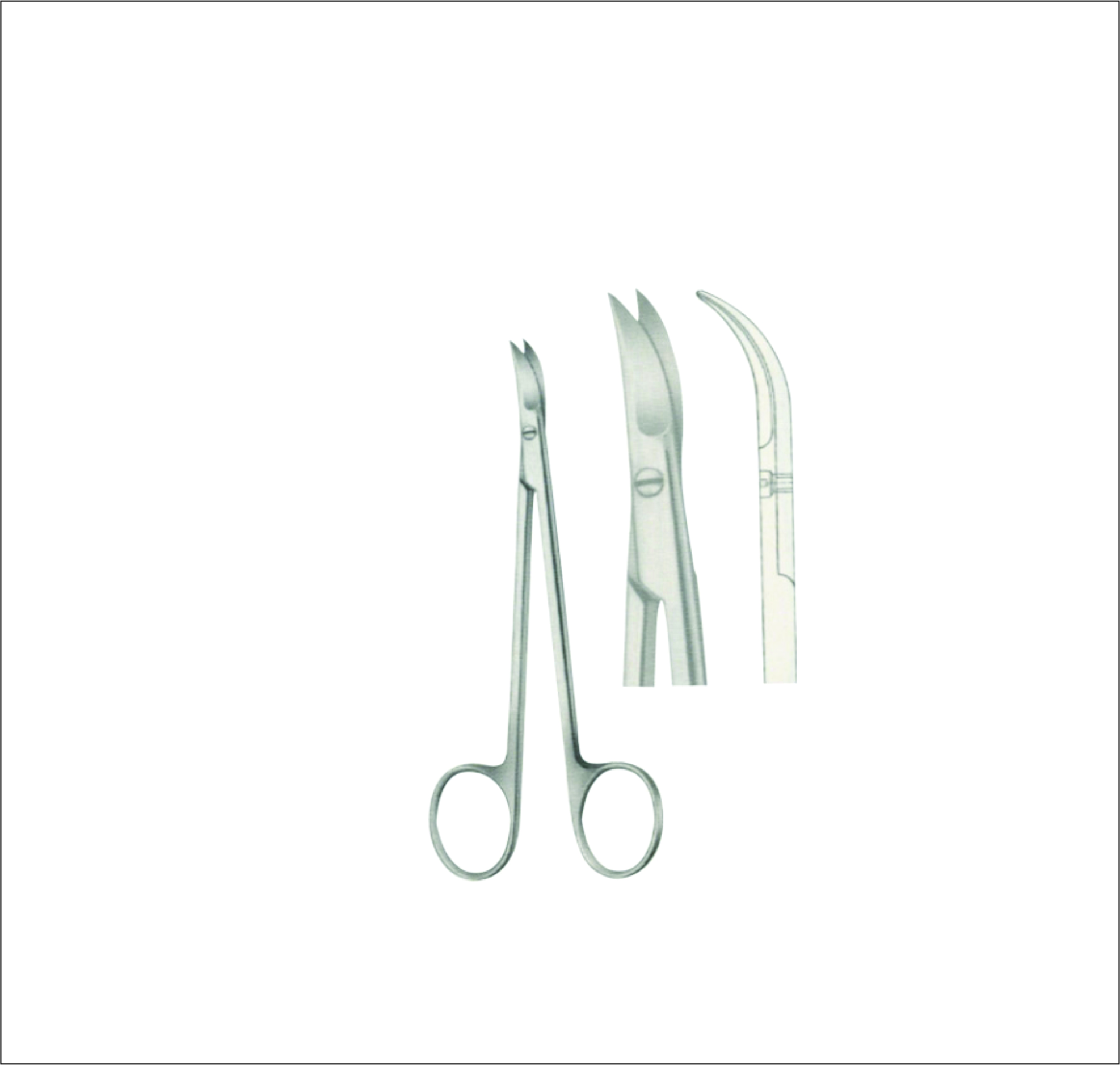 Gum, Surgical, Ligature, Bandage Scissors