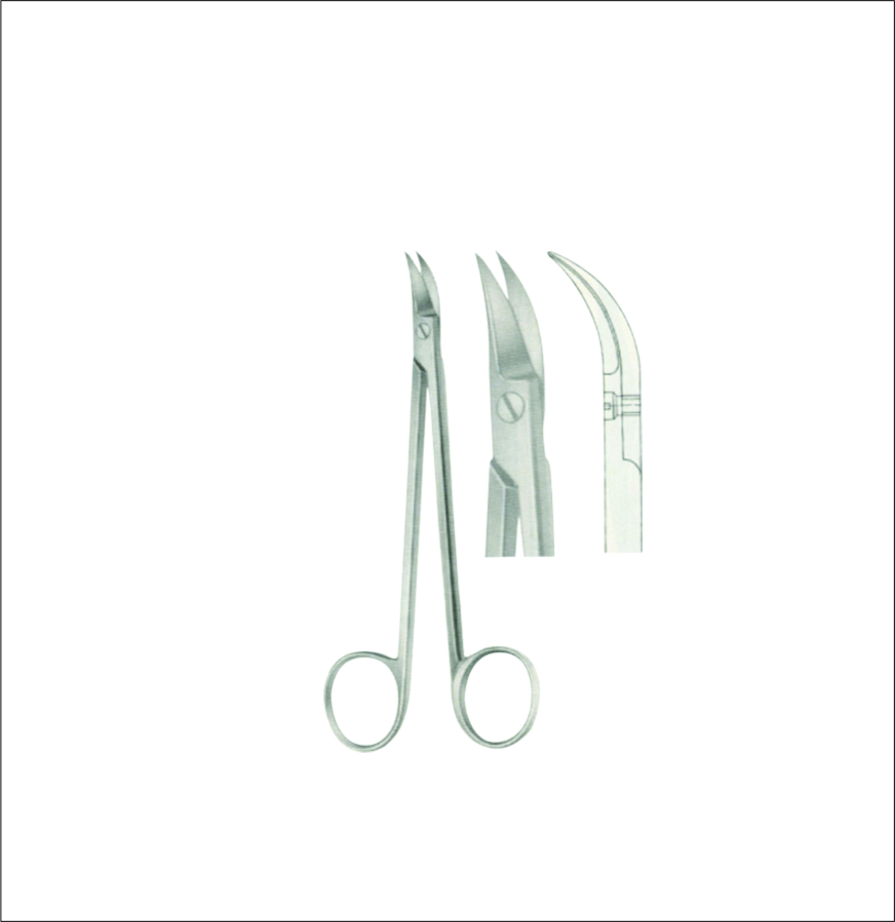 Gum, Surgical, Ligature, Bandage Scissors