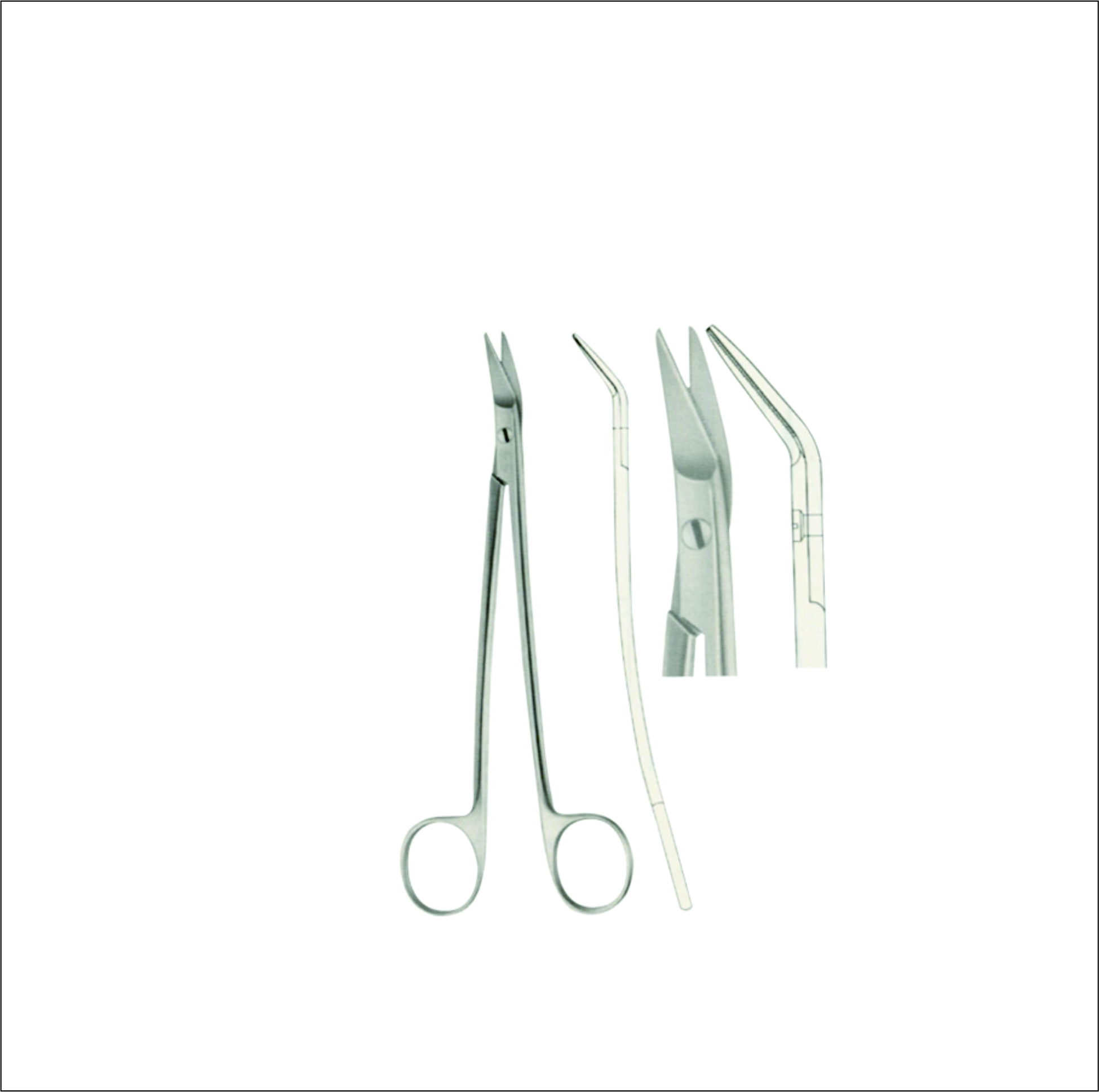 Gum, Surgical, Ligature, Bandage Scissors