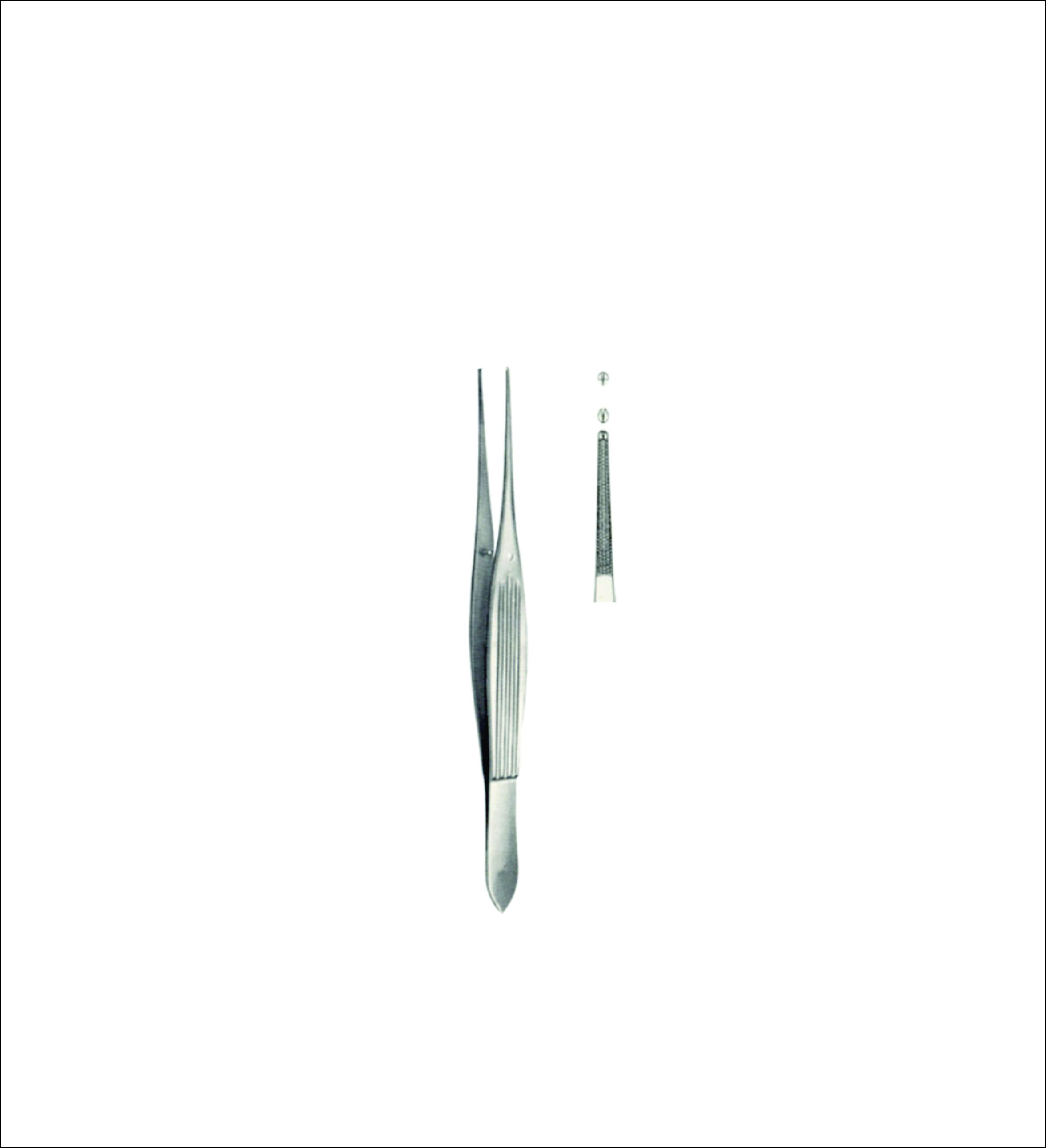 Delicate Tissue Forceps
