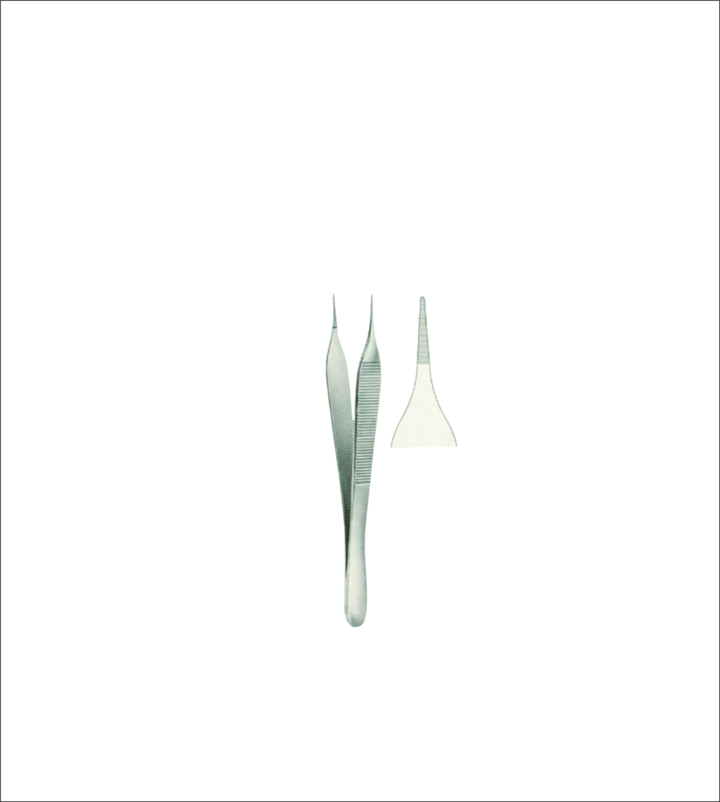 Dissecting Forceps