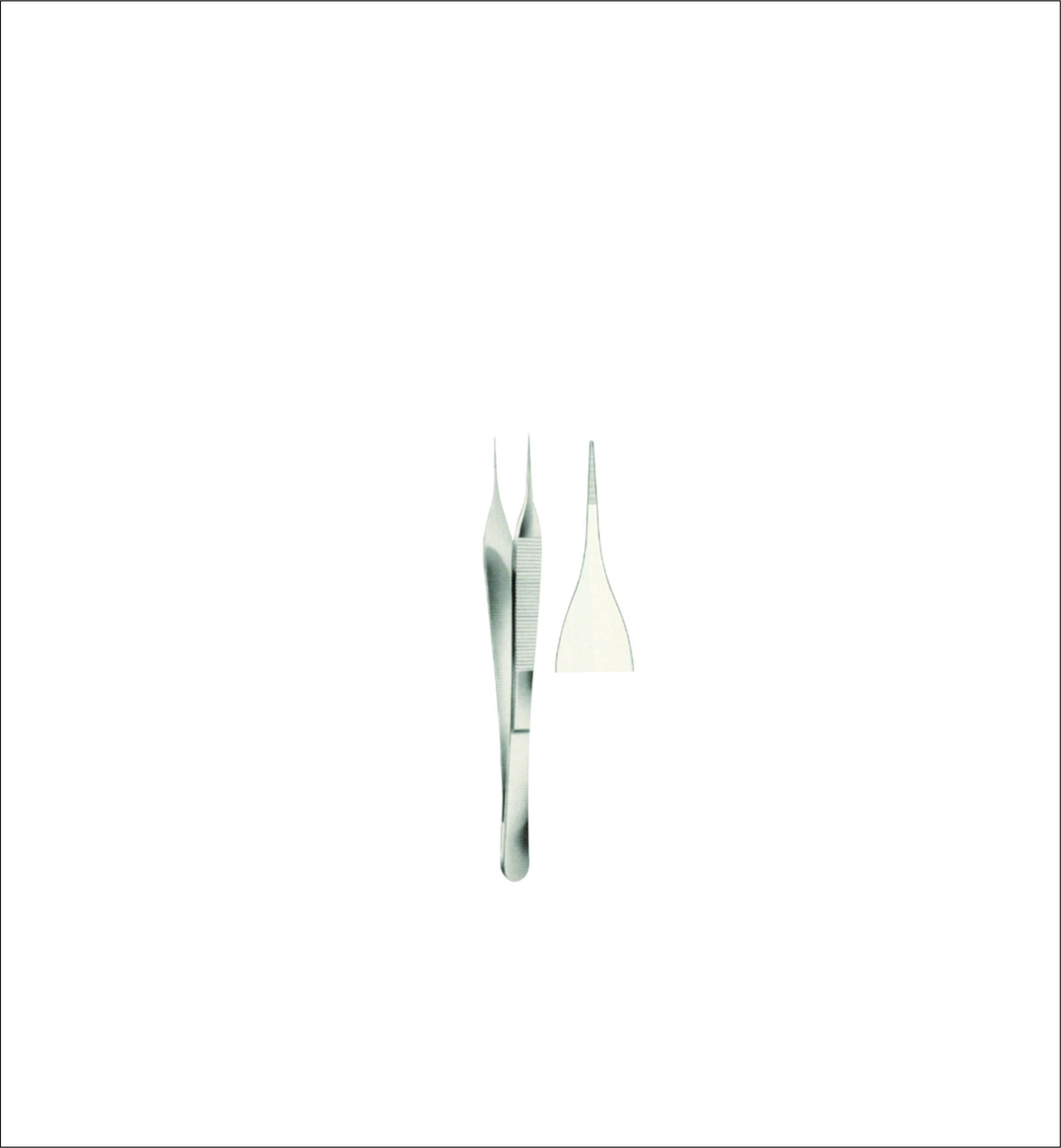 Dissecting Forceps