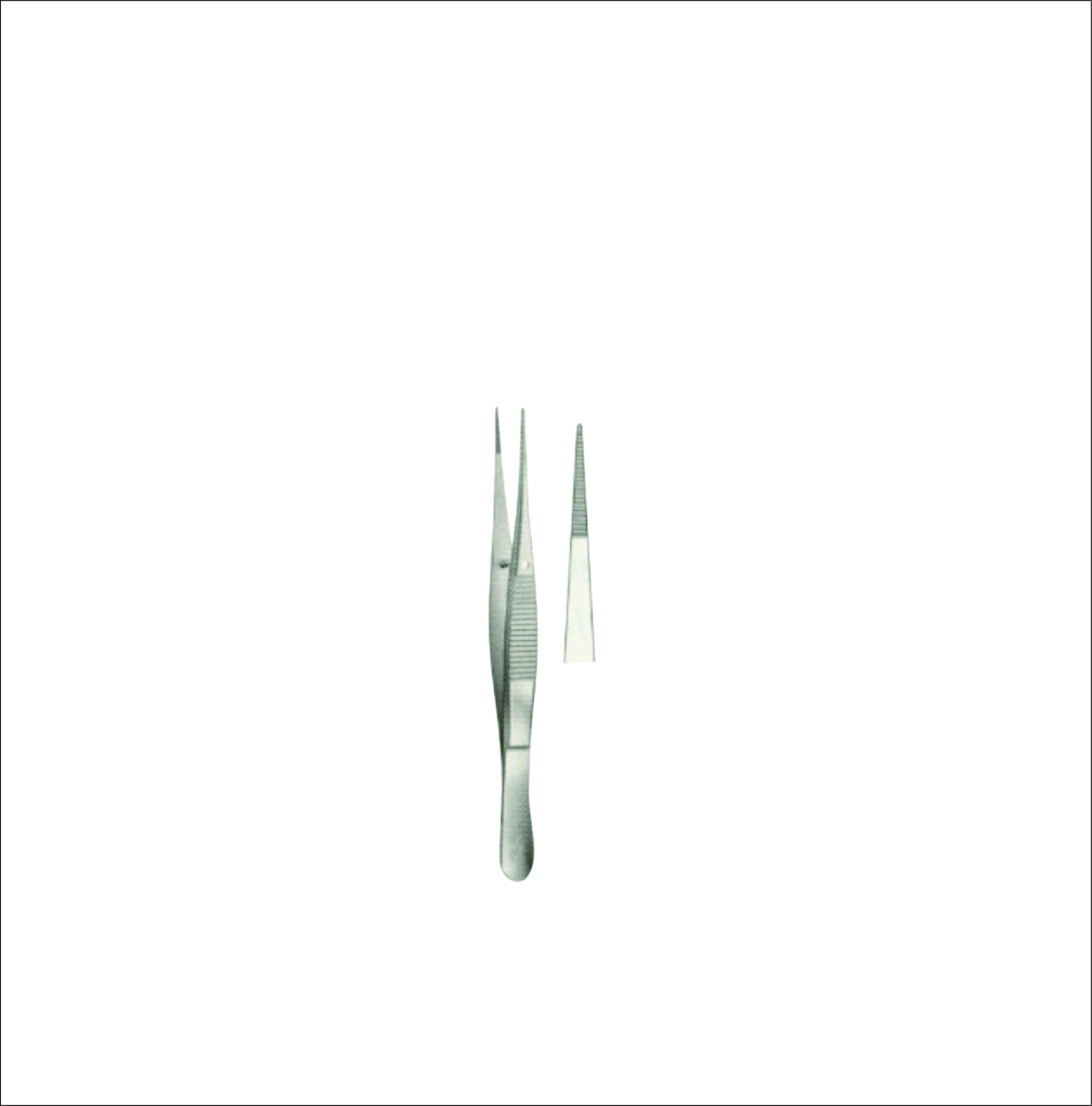 Dissecting Forceps