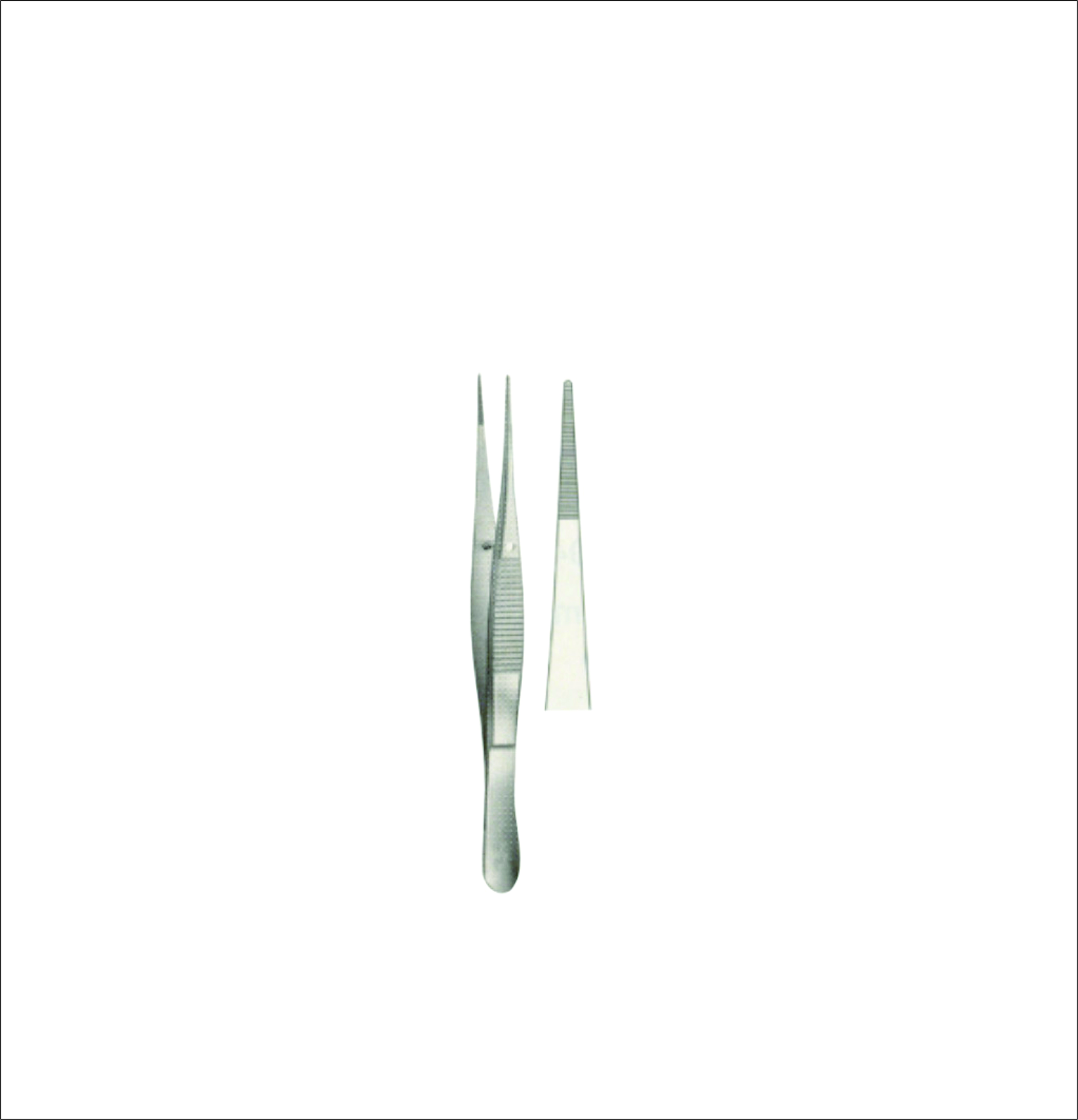 Dissecting Forceps