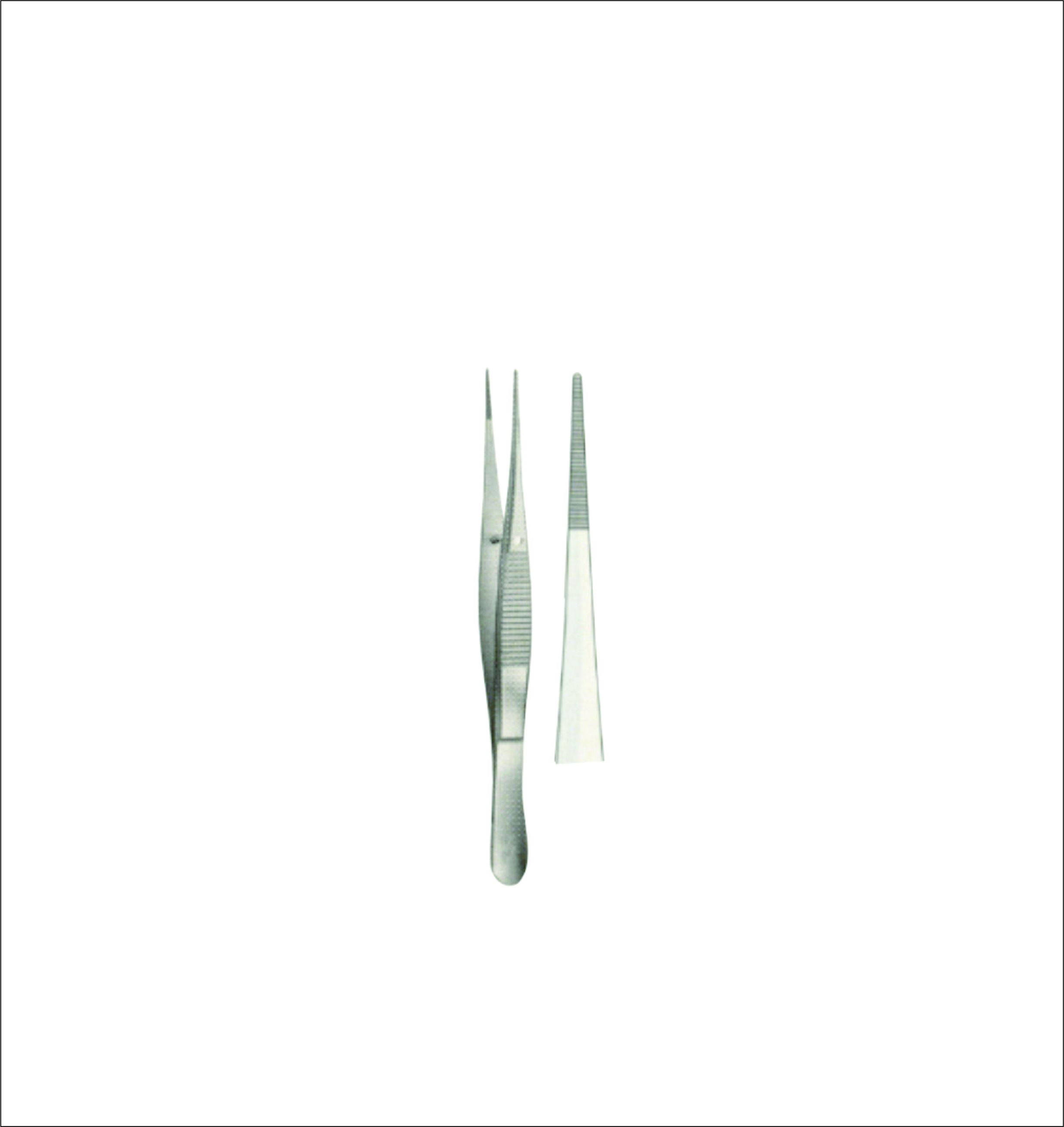 Dissecting Forceps
