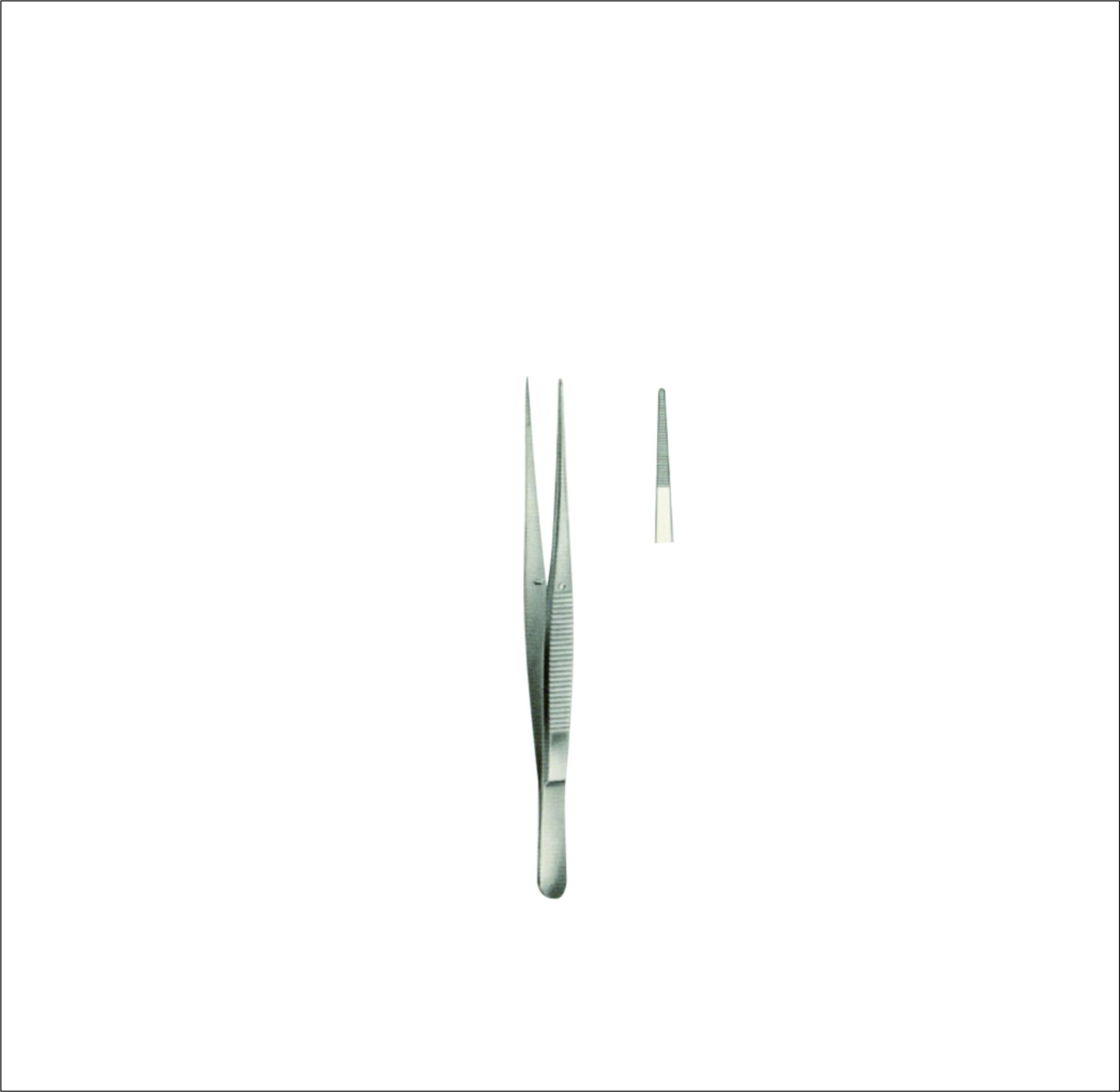 Dissecting Forceps