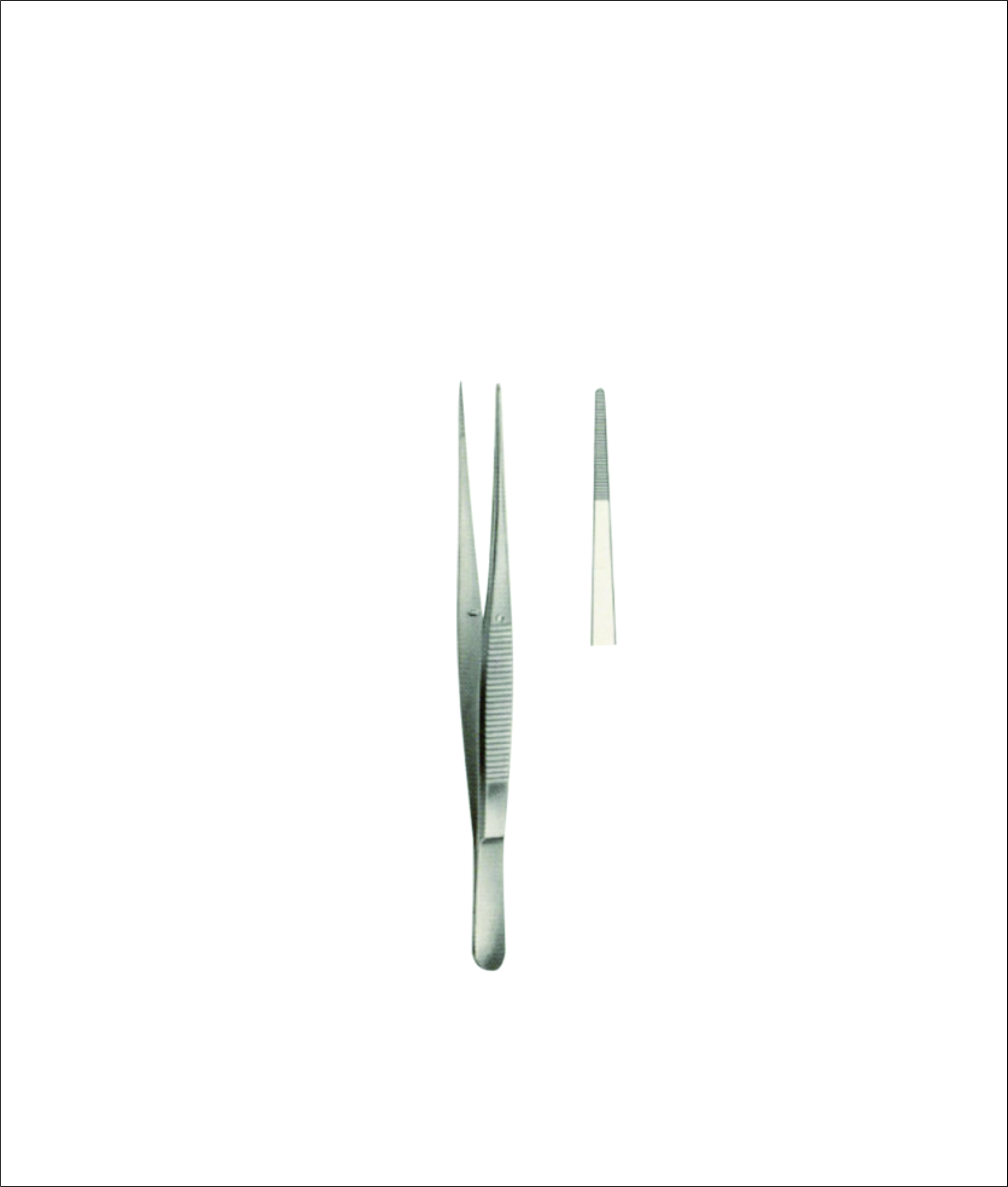 Dissecting Forceps
