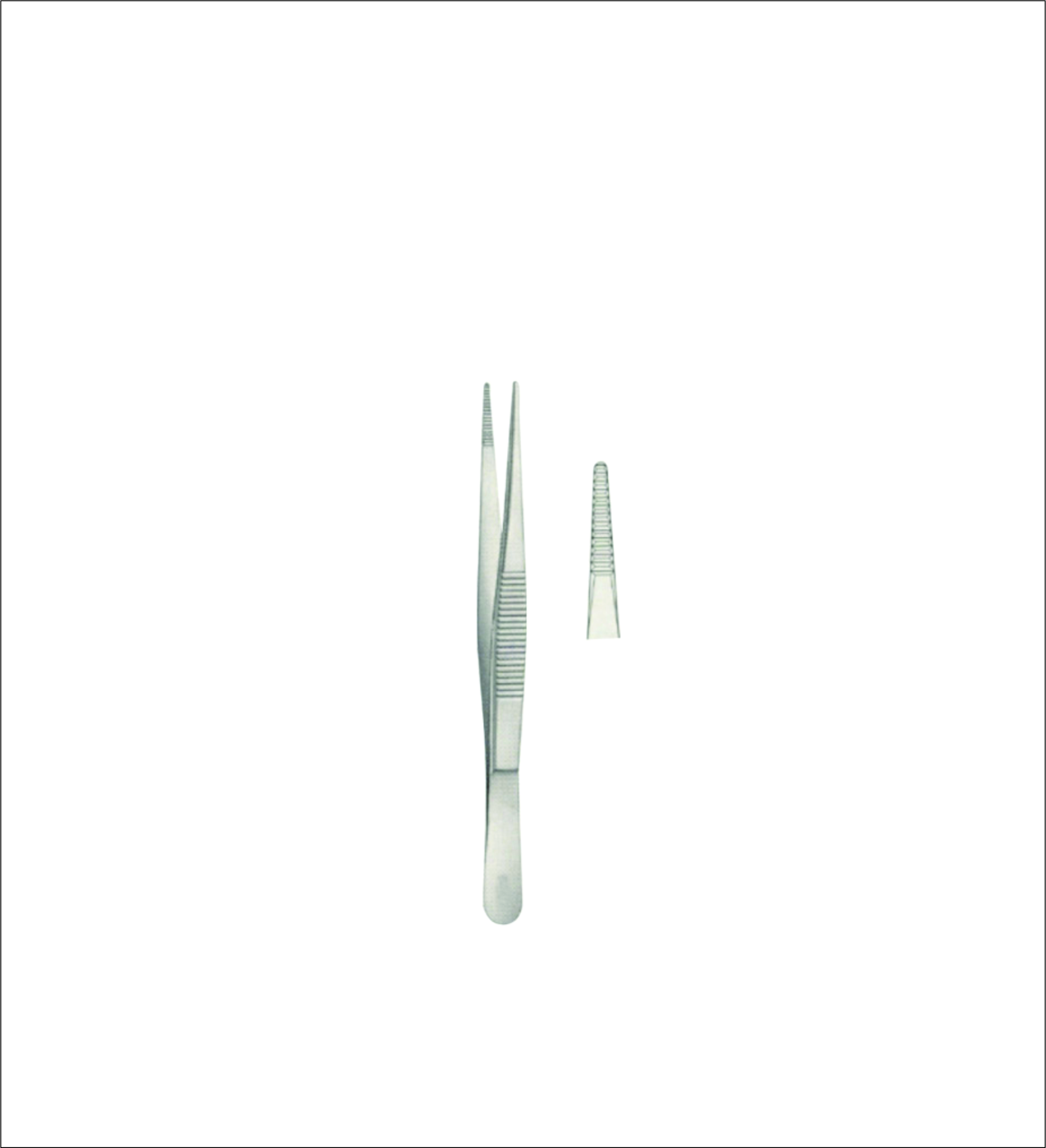 Dissecting Forceps