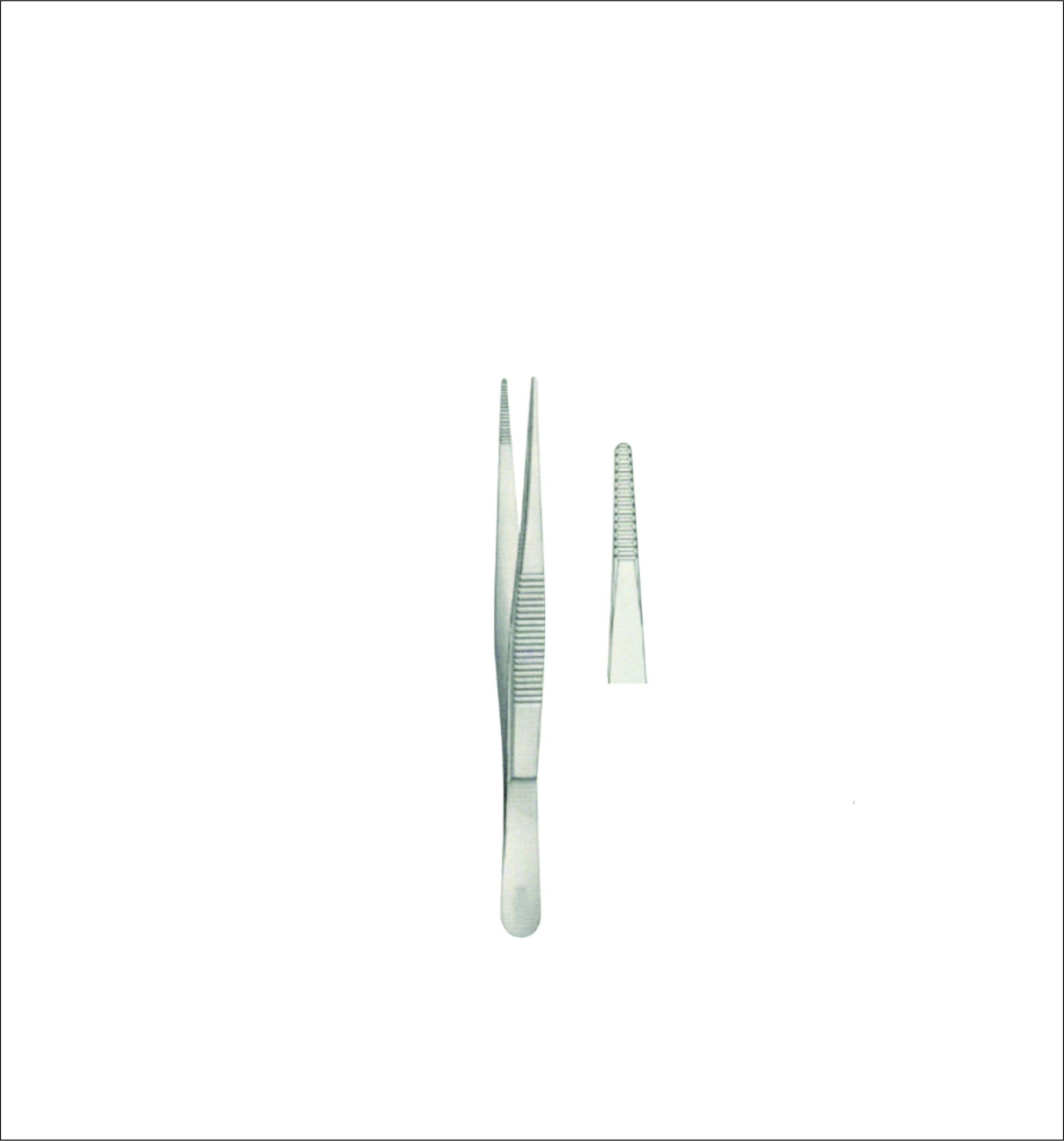 Dissecting Forceps