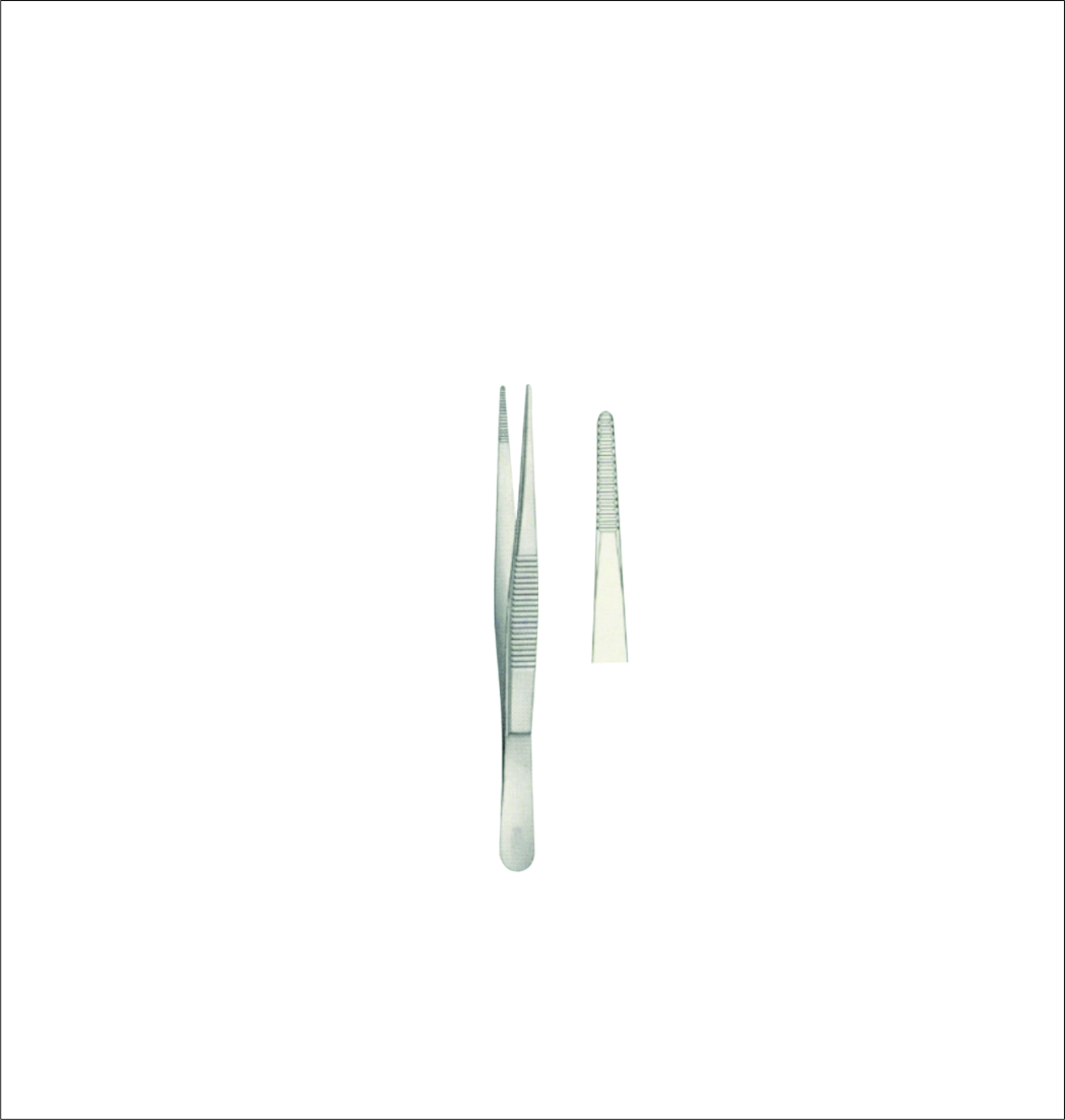 Dissecting Forceps