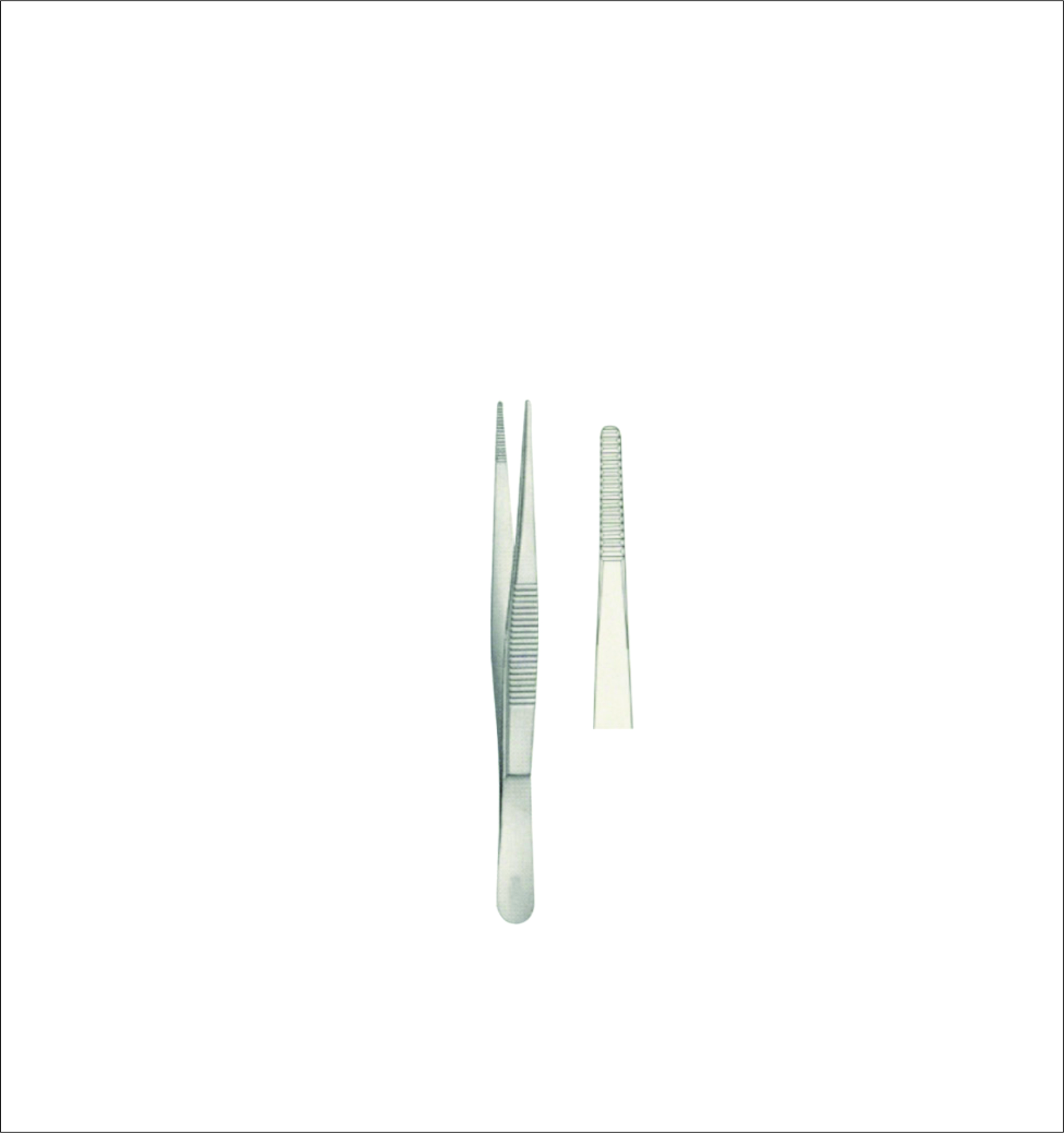 Dissecting Forceps