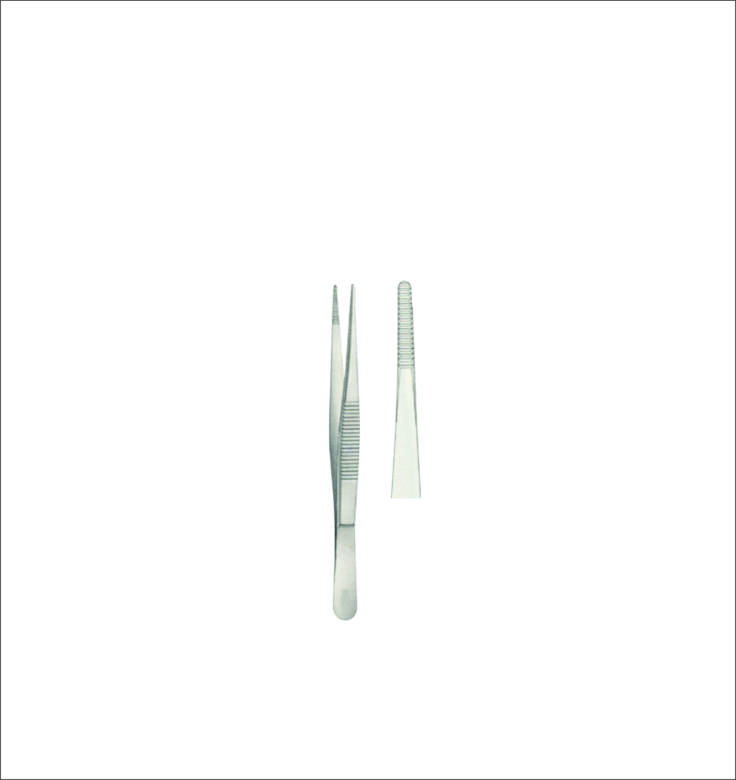 Dissecting Forceps