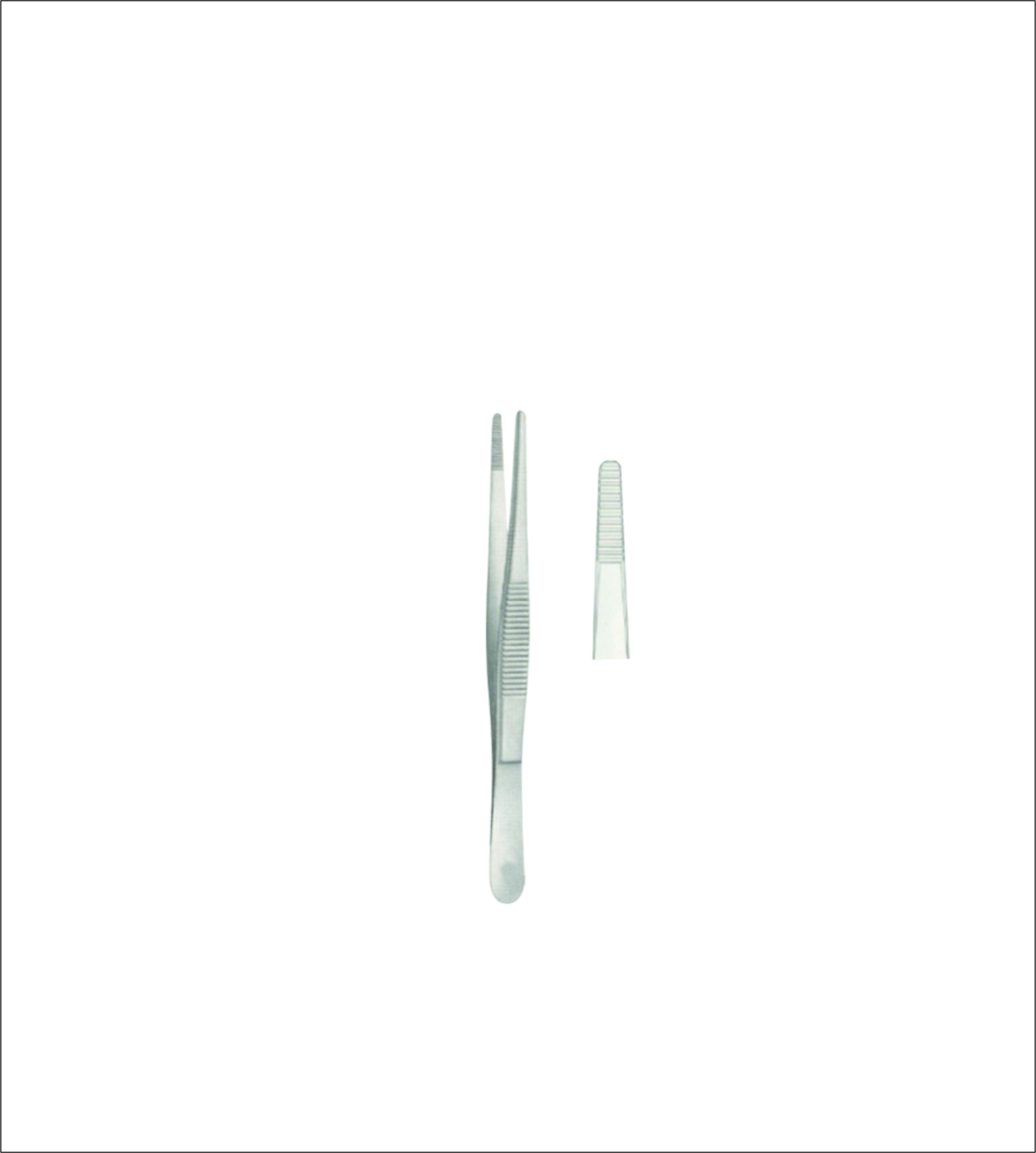 Dissecting Forceps
