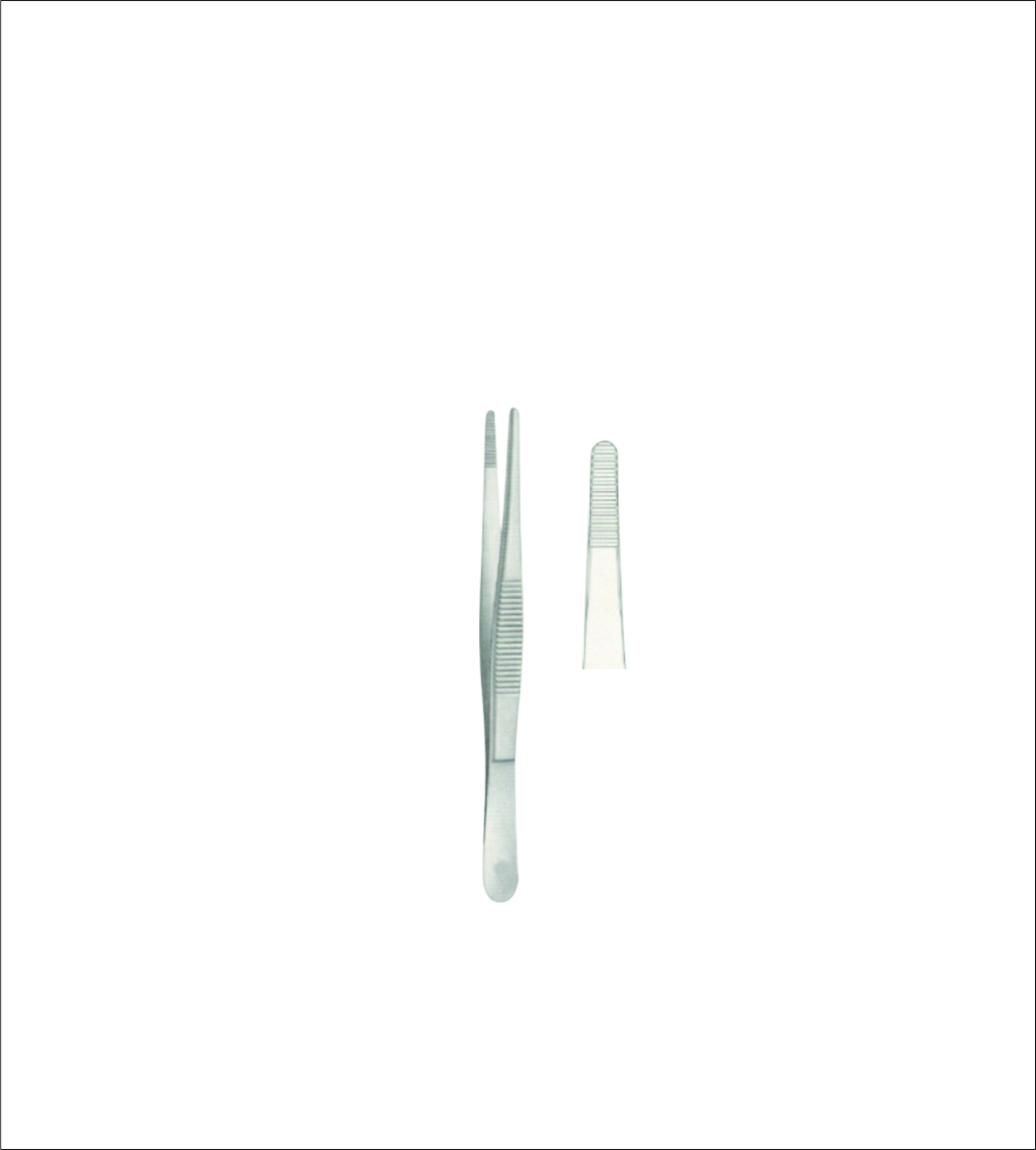 Dissecting Forceps