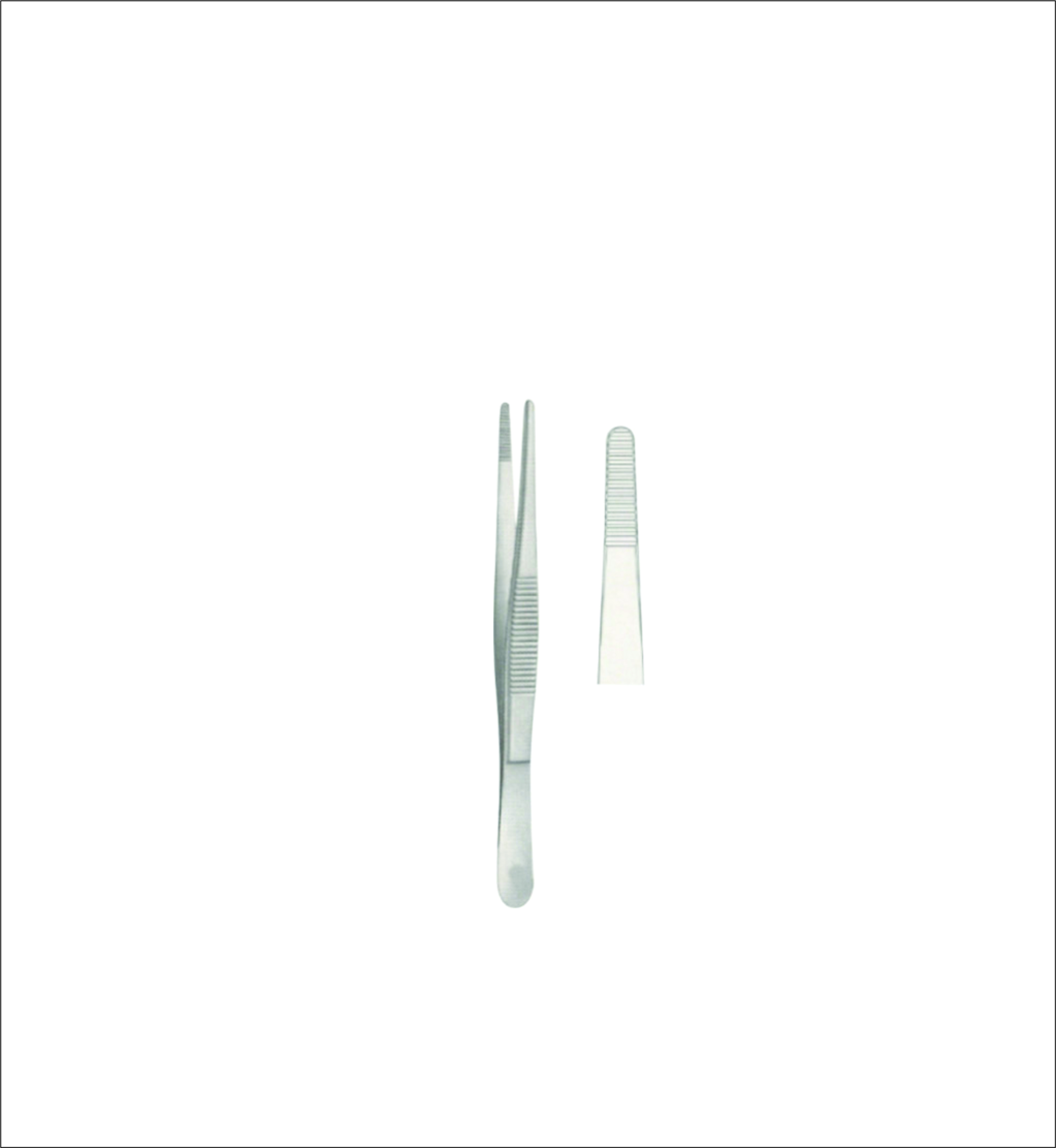 Dissecting Forceps