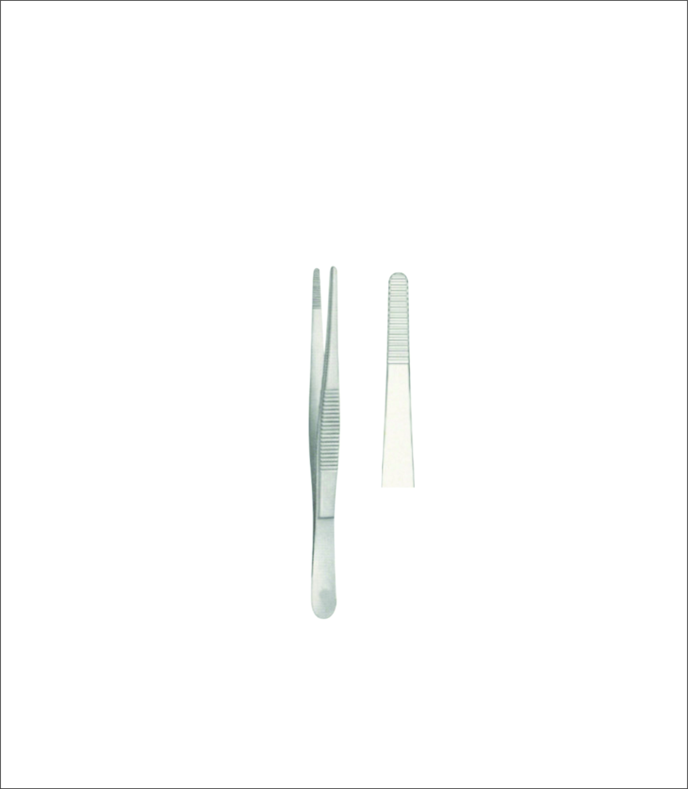 Dissecting Forceps