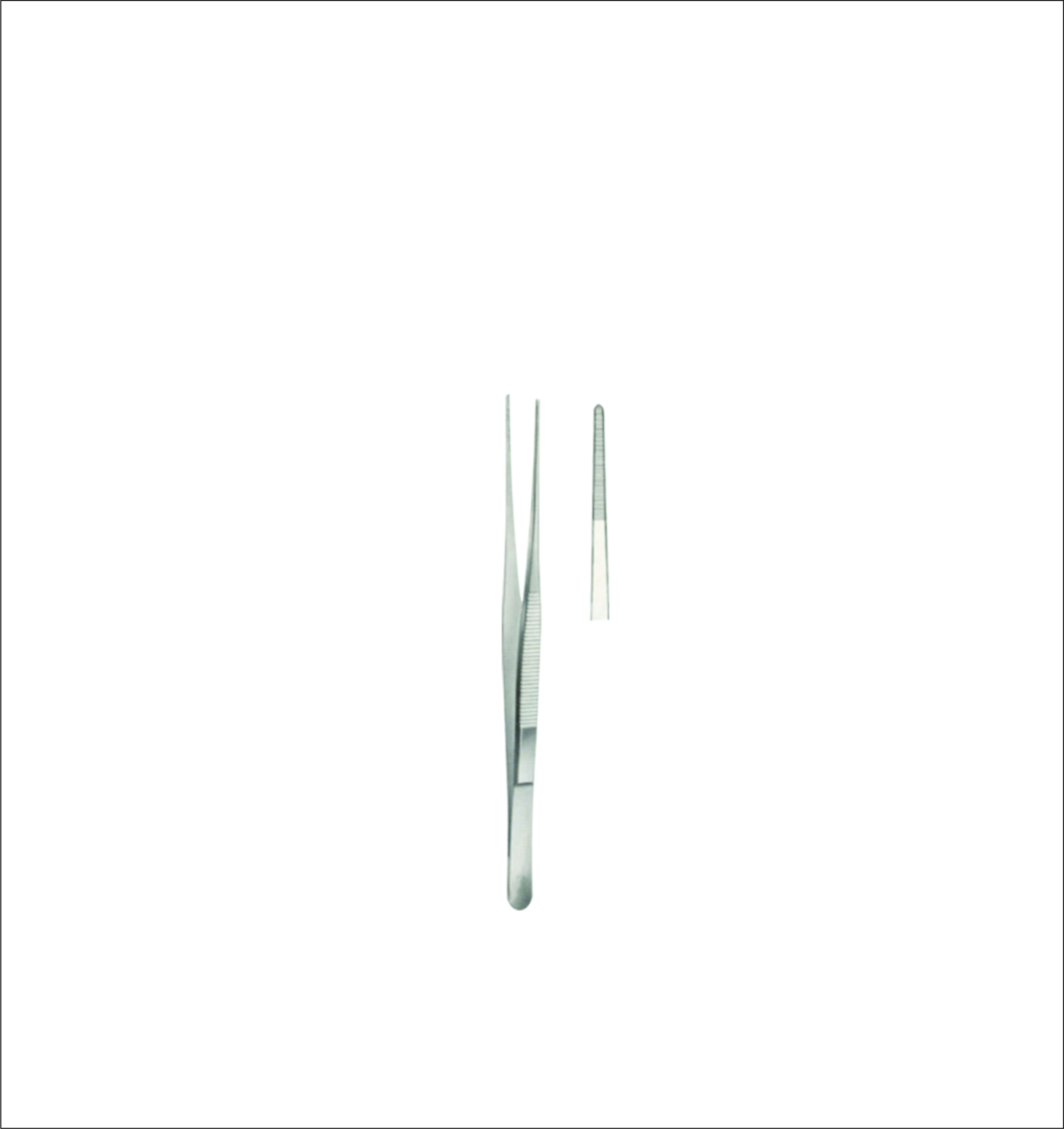 Dissecting Forceps