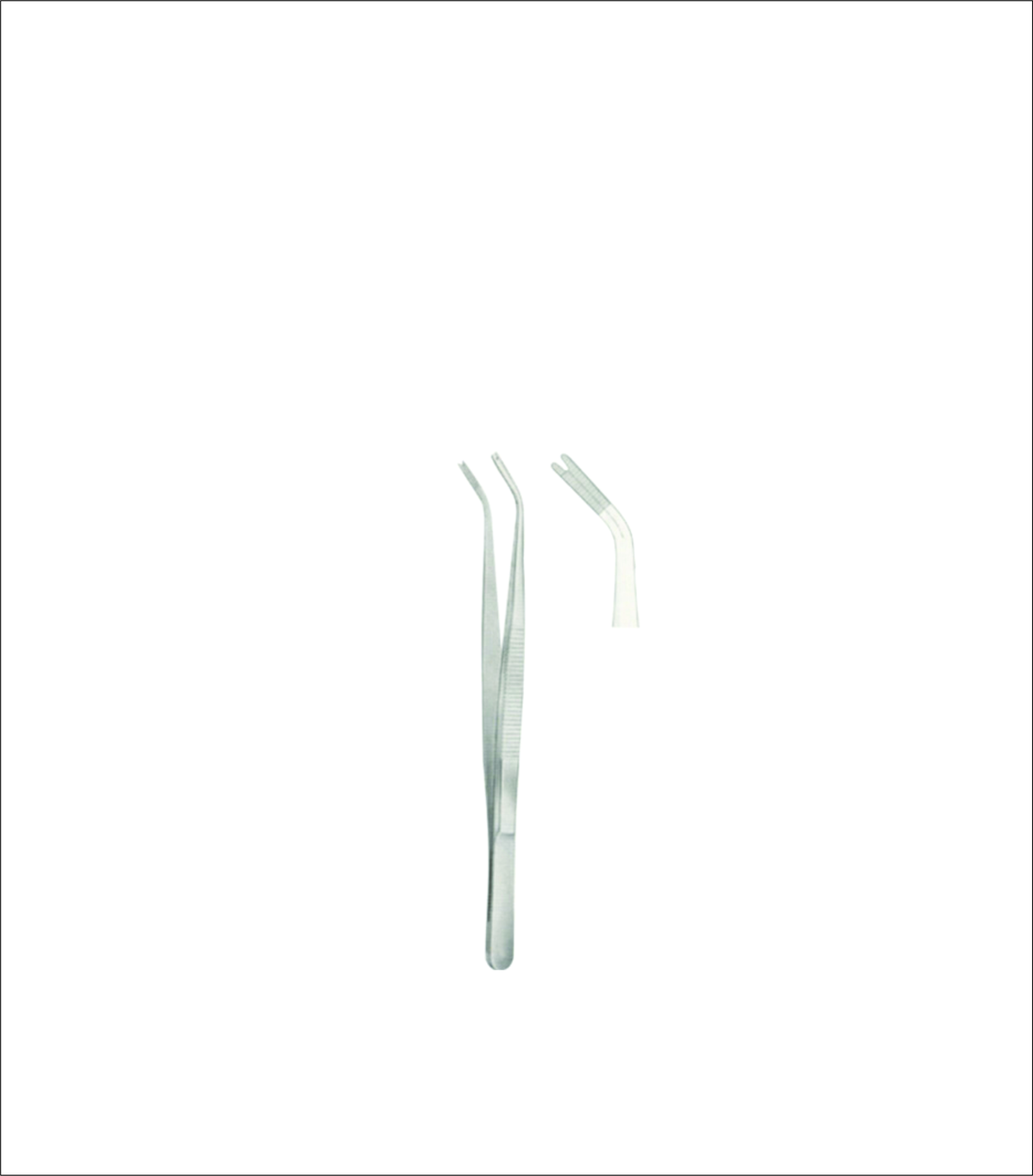 Dissecting Forceps