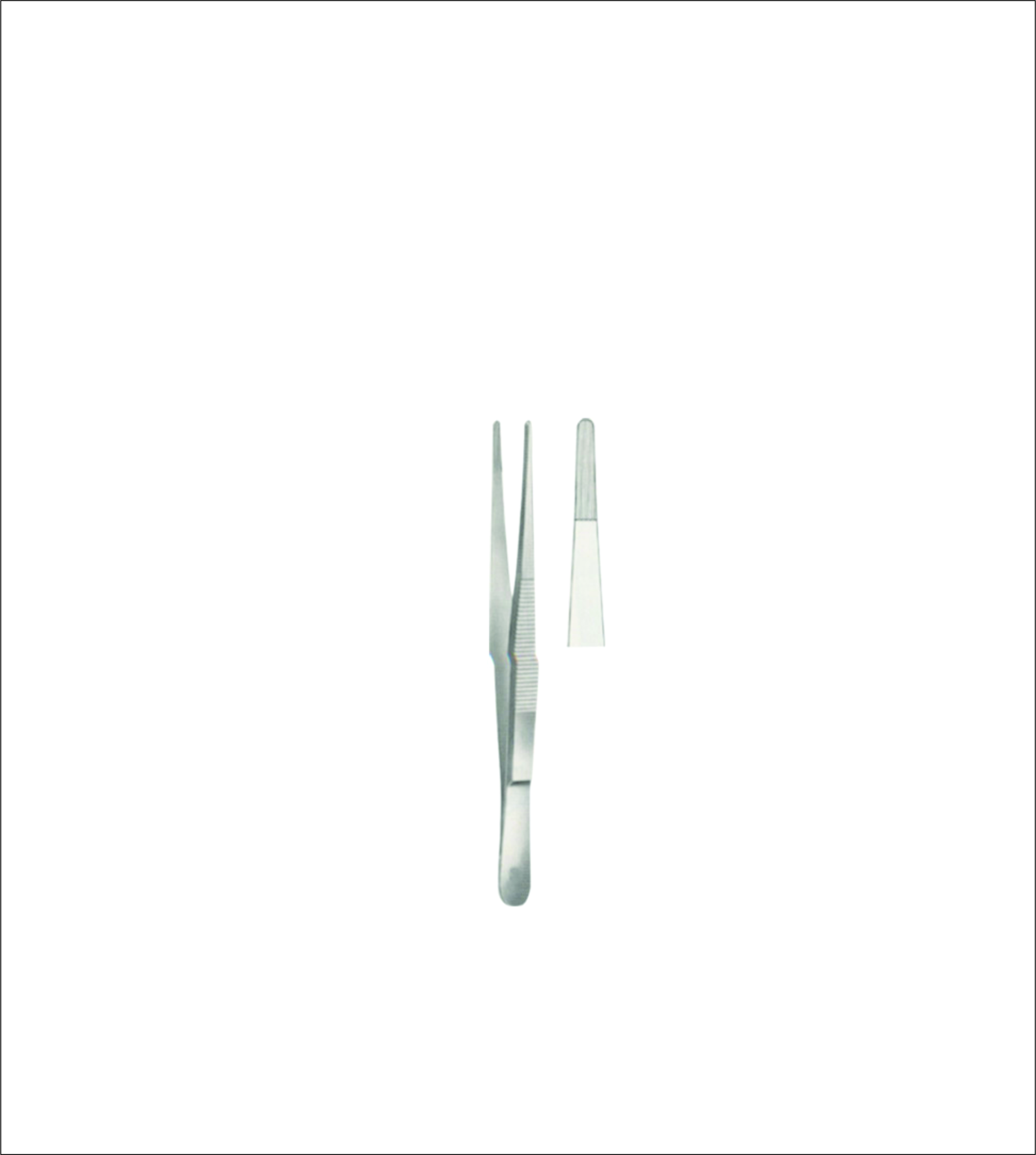 Dissecting Forceps