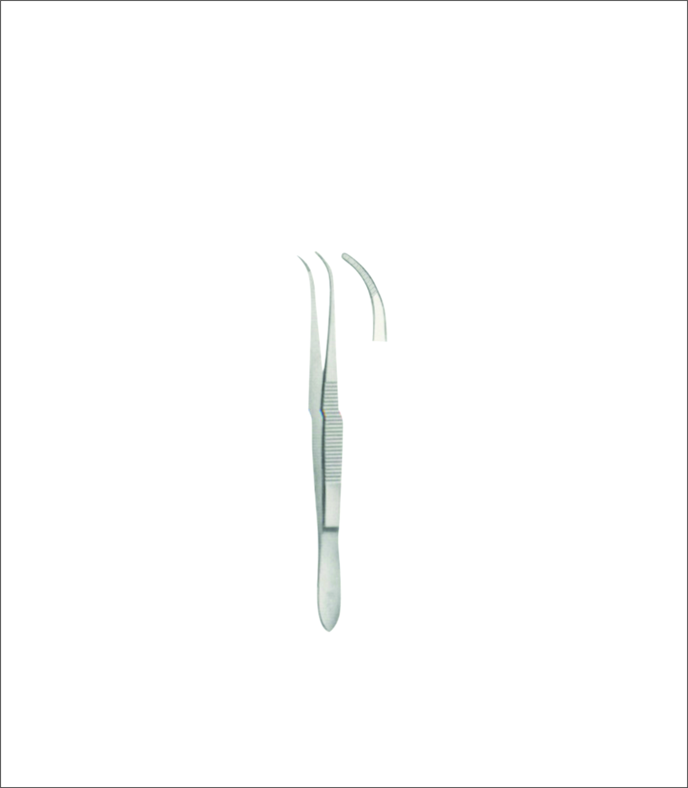 Dissecting Forceps
