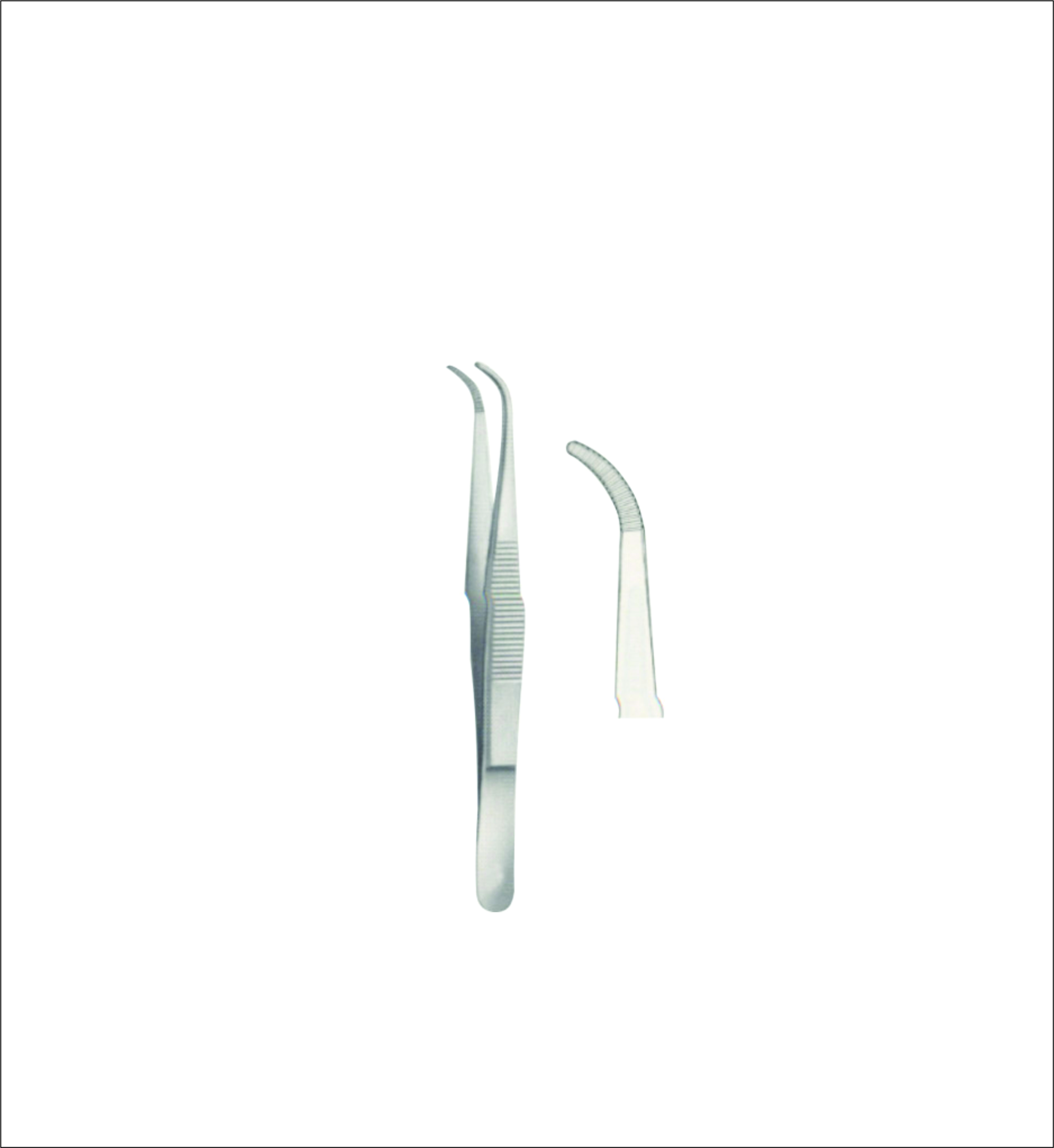 Dissecting Forceps