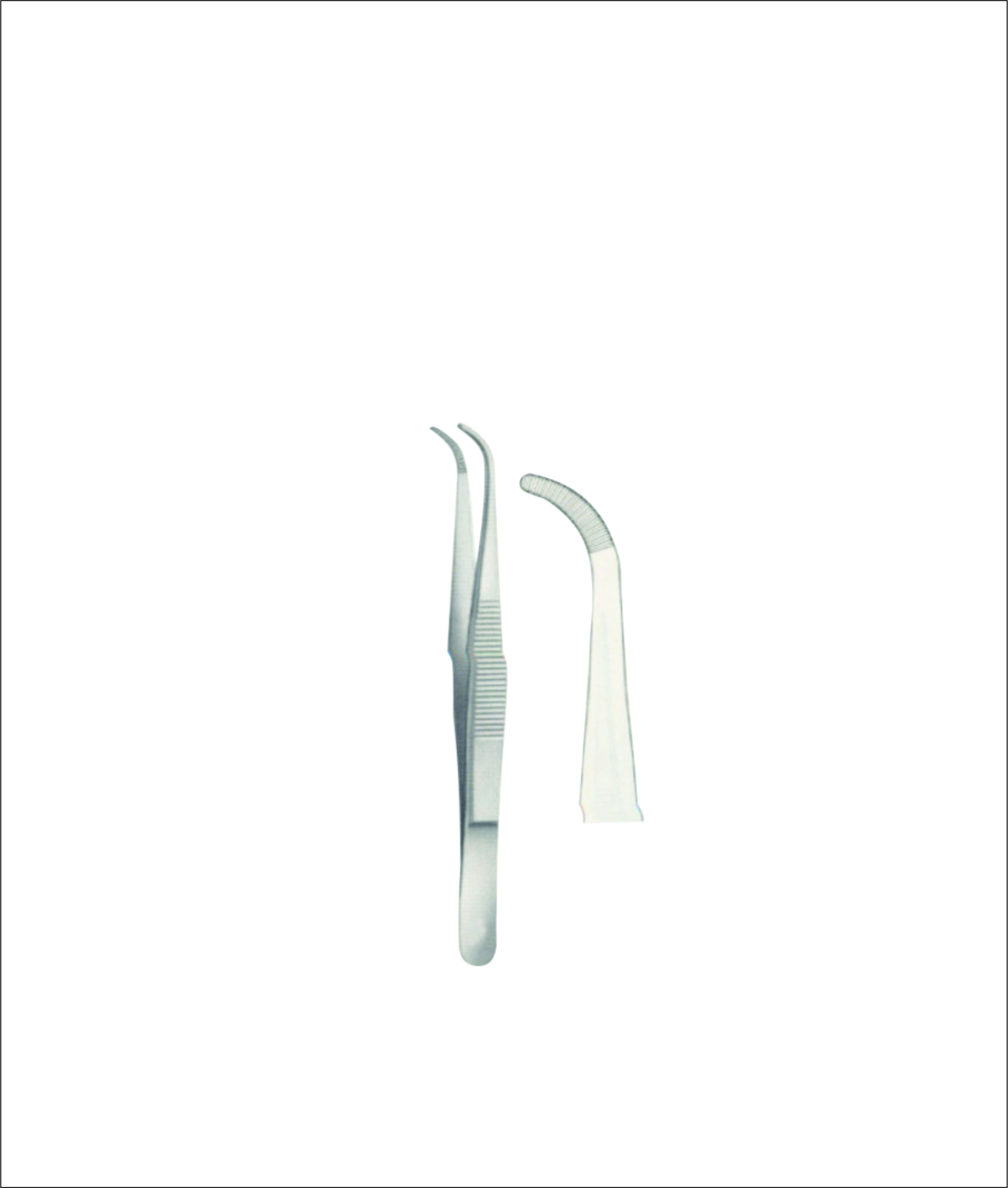 Dissecting Forceps
