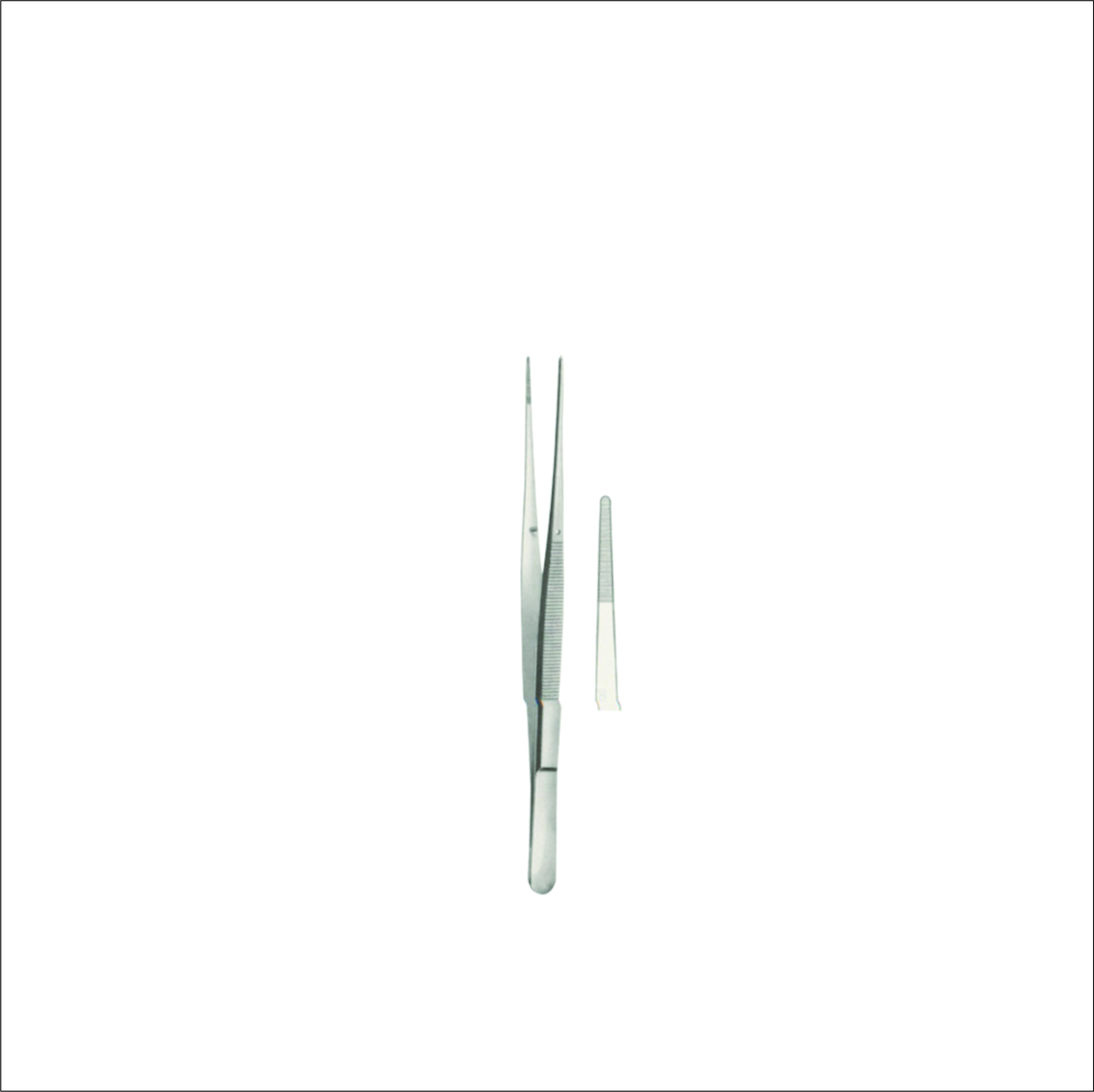 Dissecting Forceps