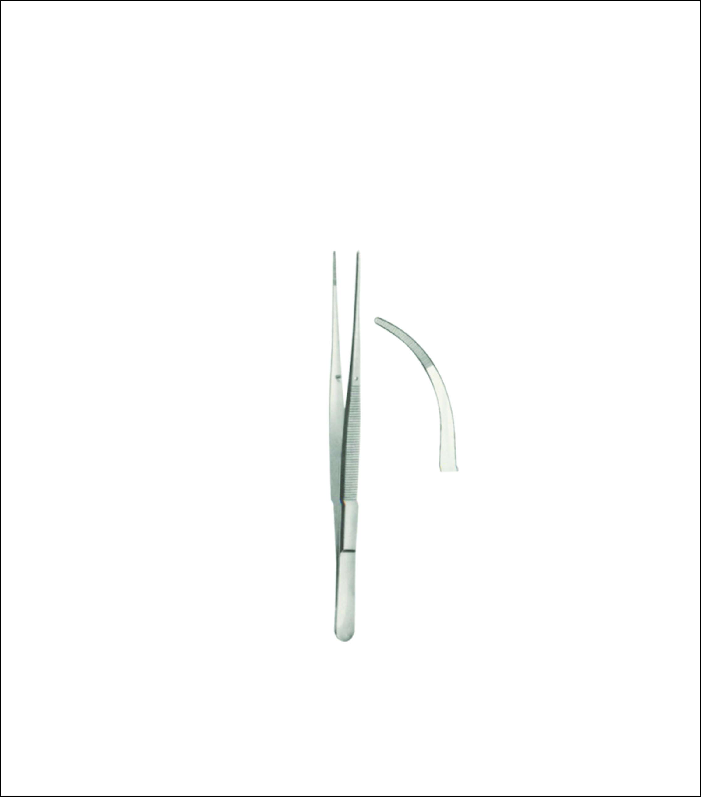 Dissecting Forceps