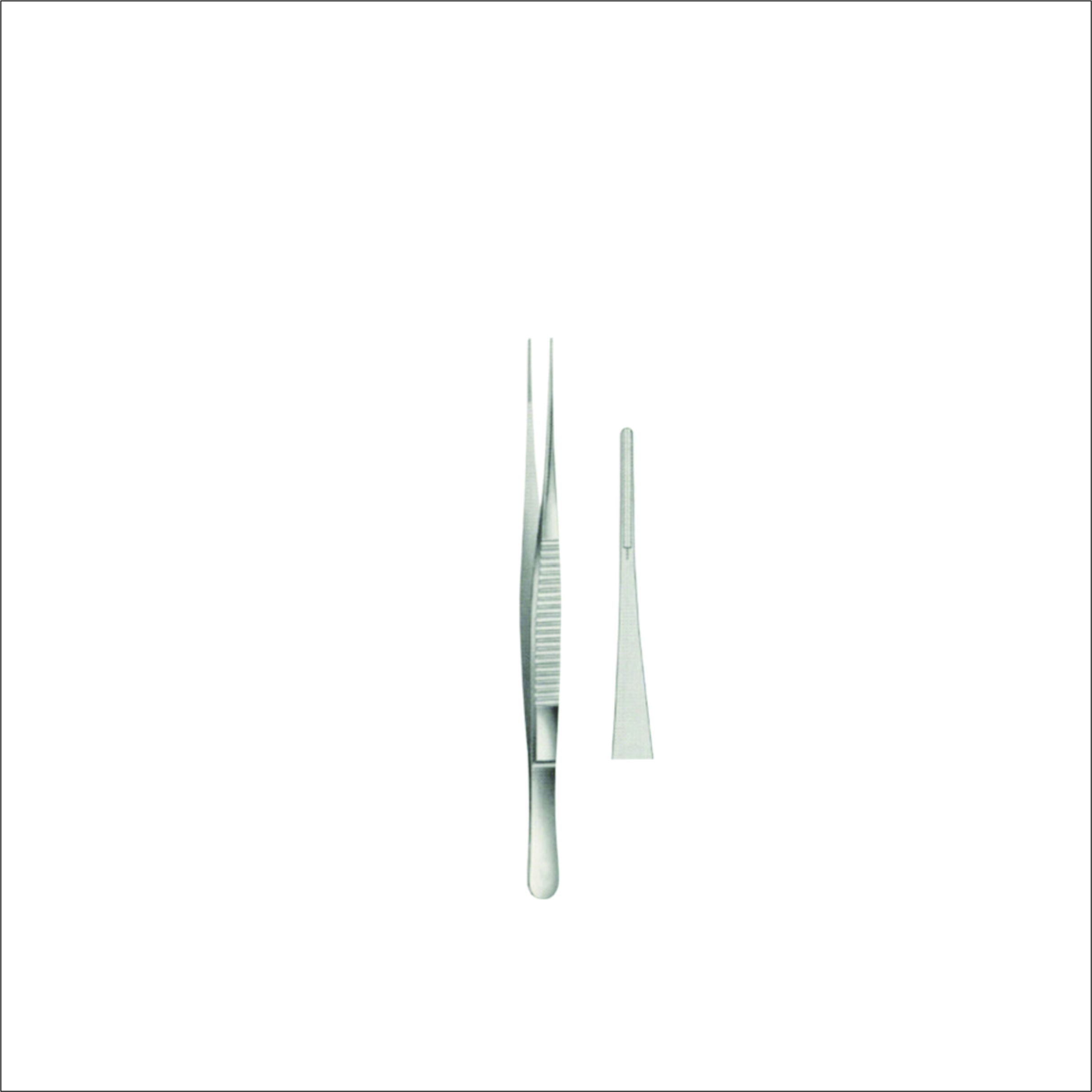 Dissecting Forceps